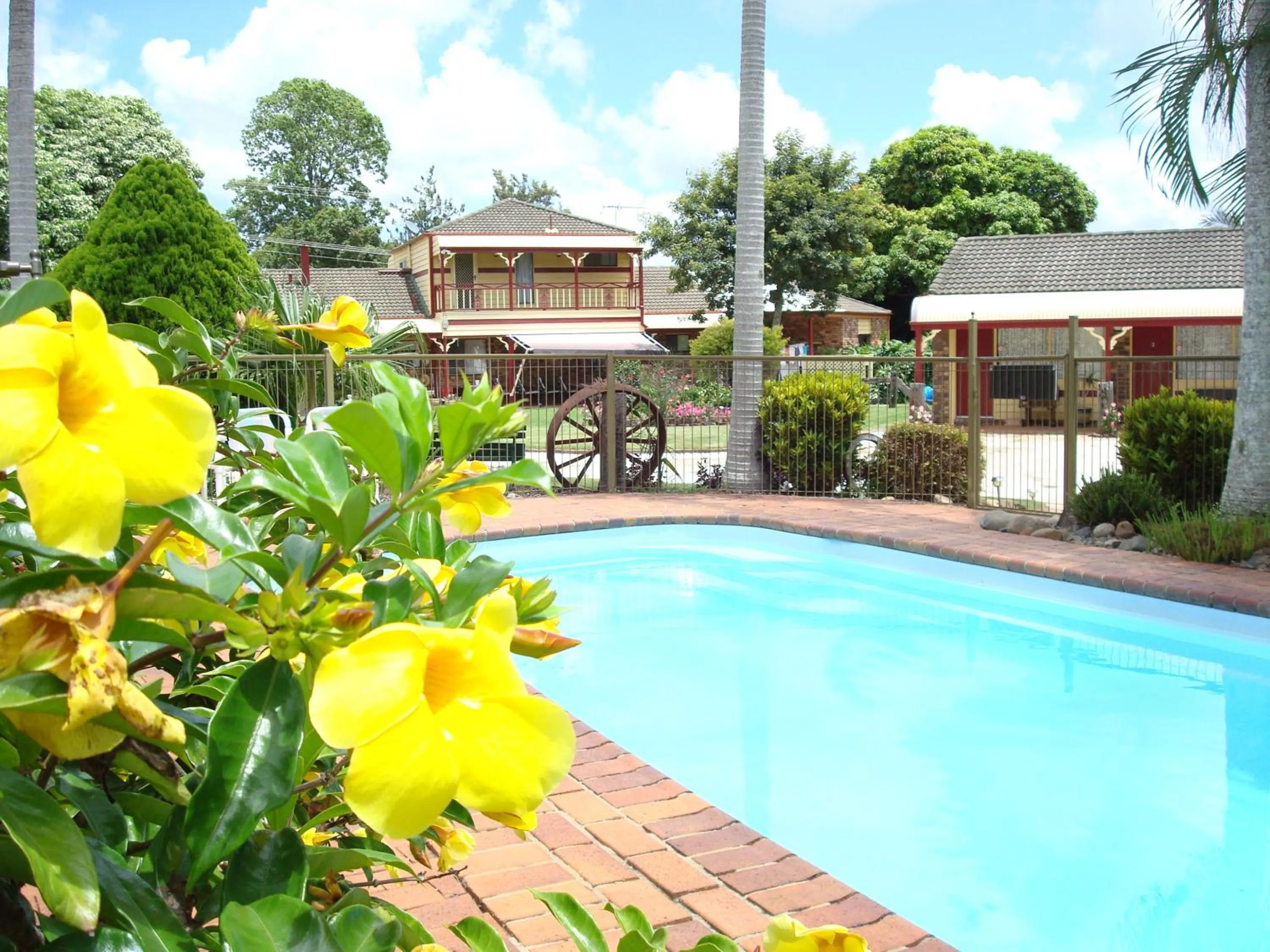 Pool view in Alstonville Settlers Motel
