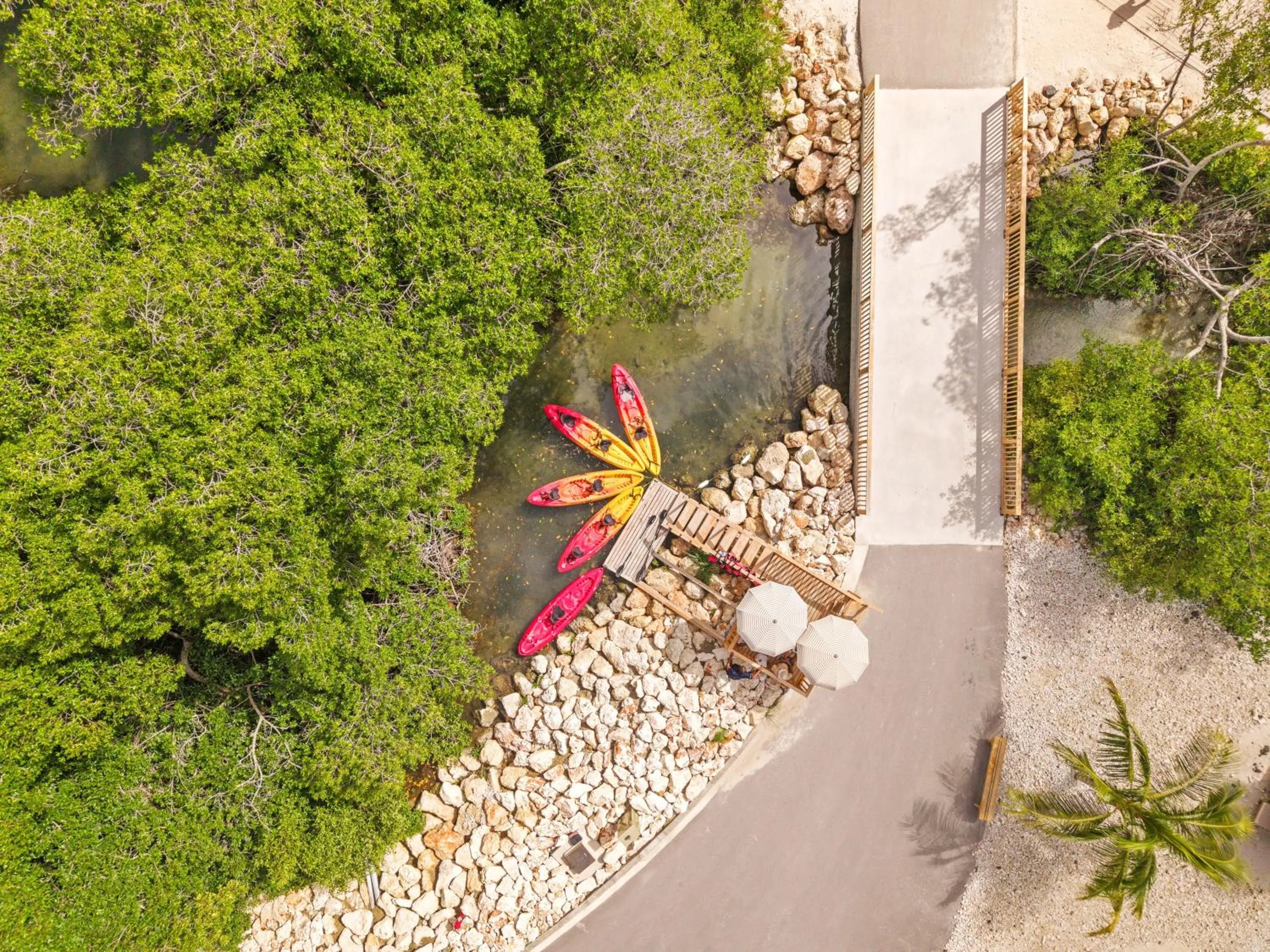 Natural landscape in Mangrove Beach Corendon Curacao All-Inclusive Resort, Curio by Hilton