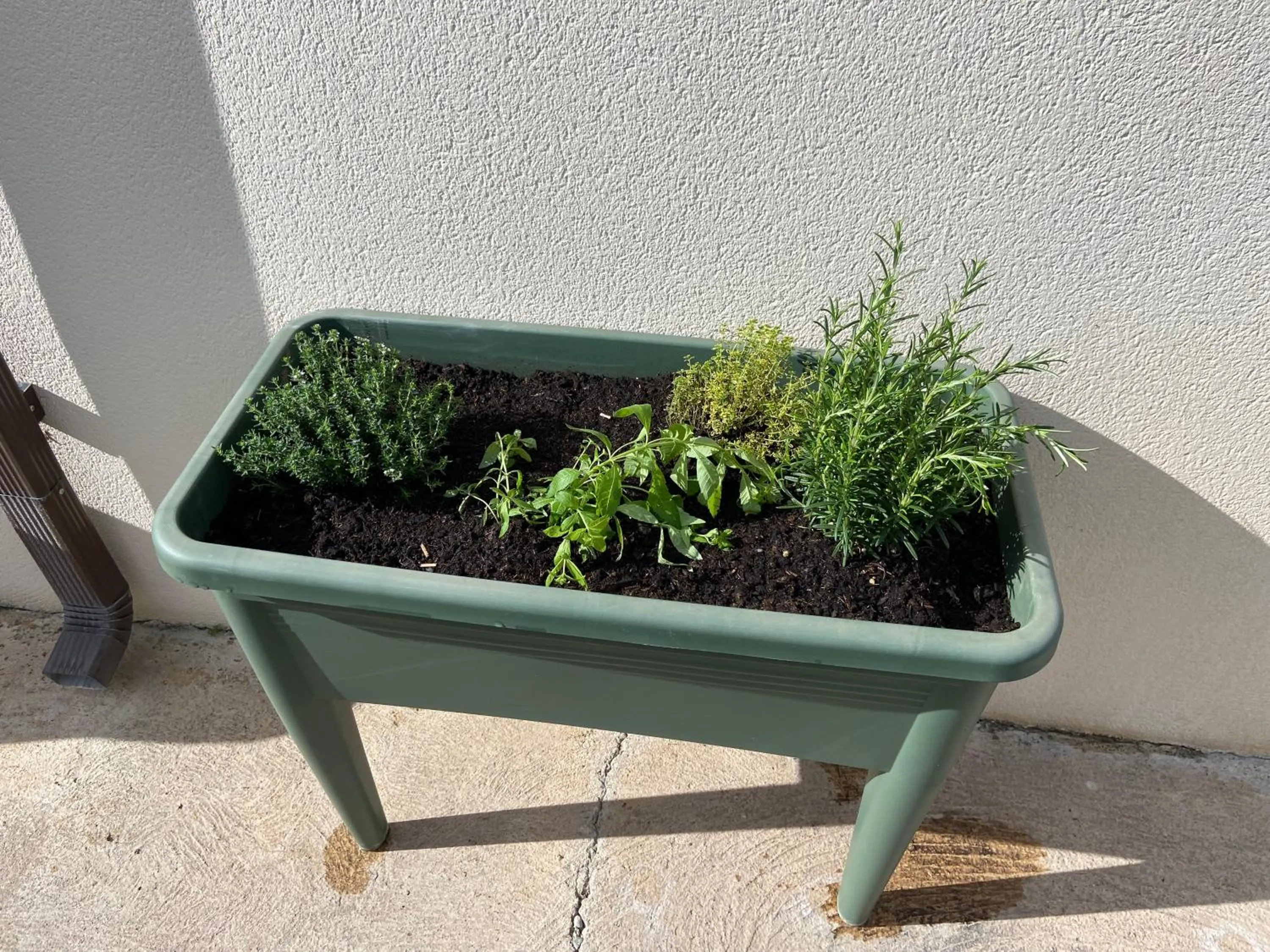 Garden in HISTOIRE D'Ô - Les Piscines - Chambres d'hôtes