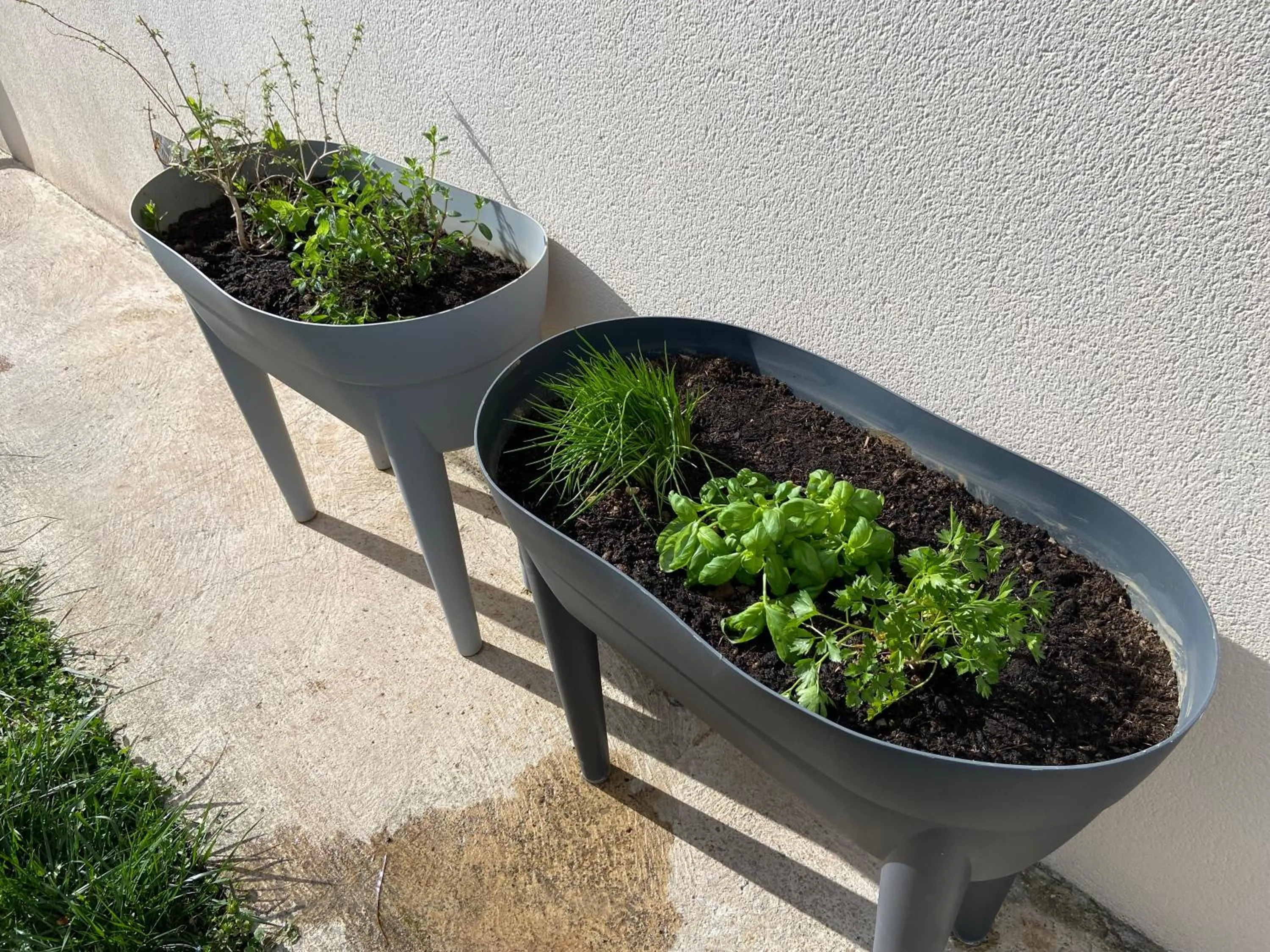 Garden in HISTOIRE D'Ô - Les Piscines - Chambres d'hôtes