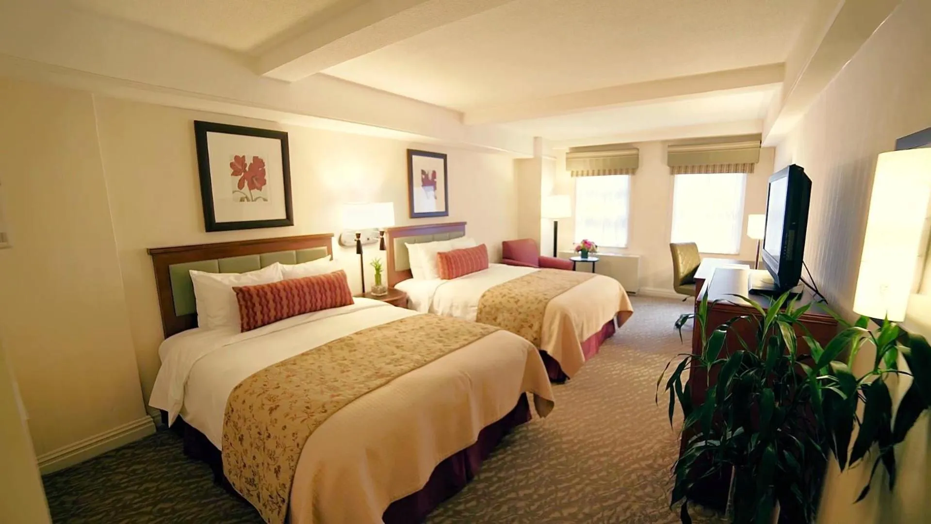 Bedroom, Bed in San Carlos Hotel New York