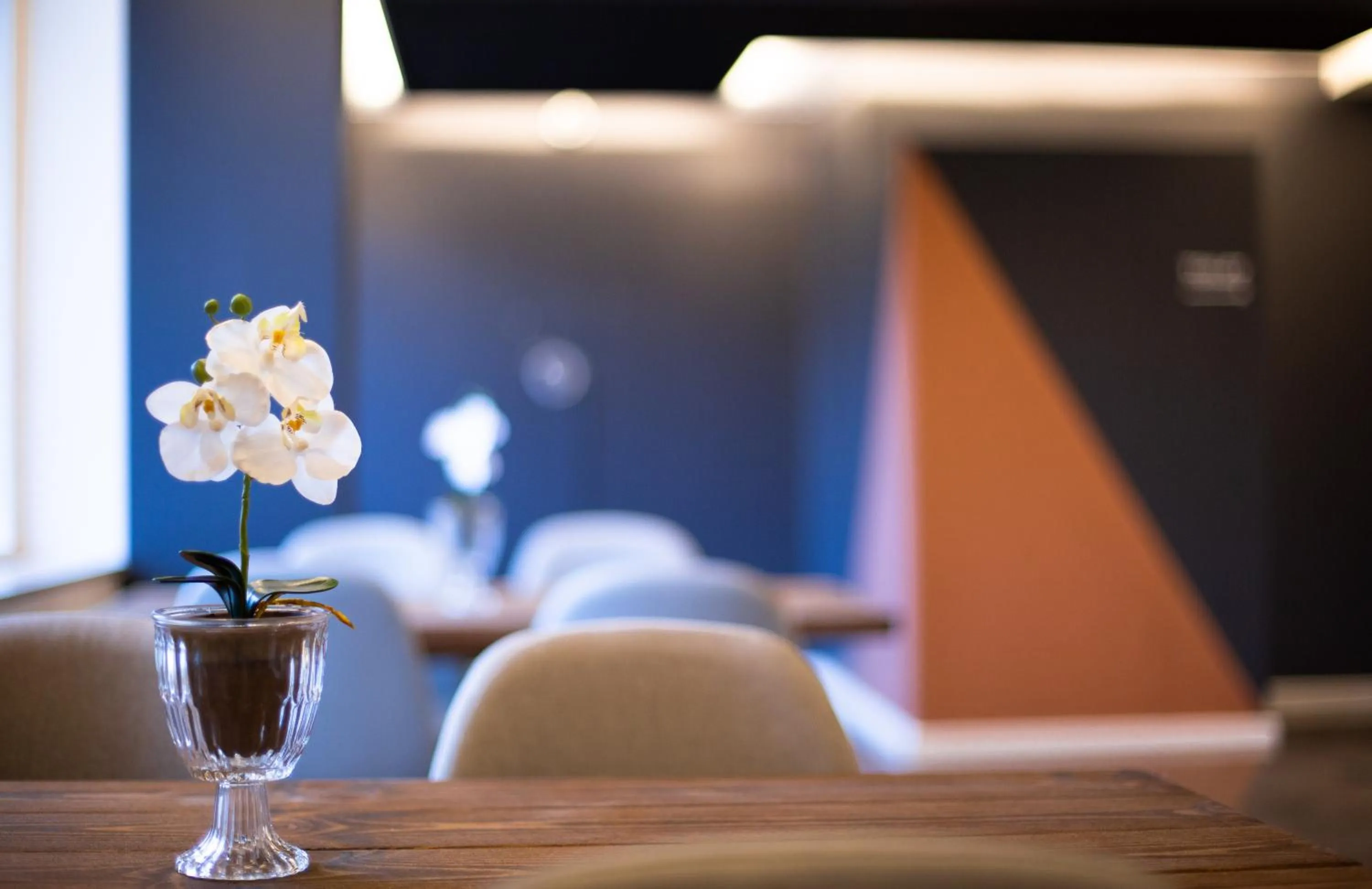 Decorative detail in Hotel-B