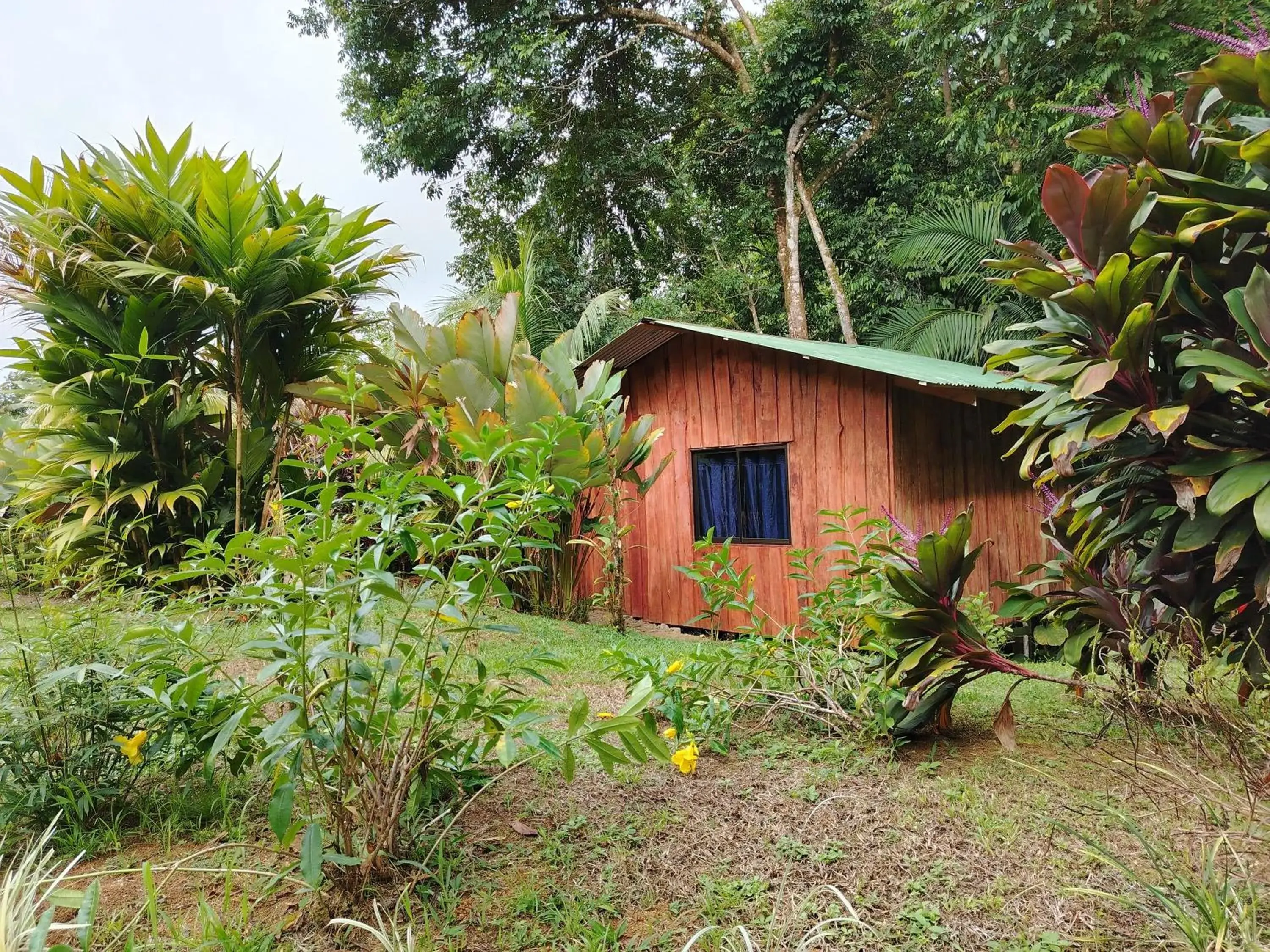 Bungalow with Garden View in Citronela Lodge Corcovado Bungalow with Garden View in Citronela Lodge Corcovado