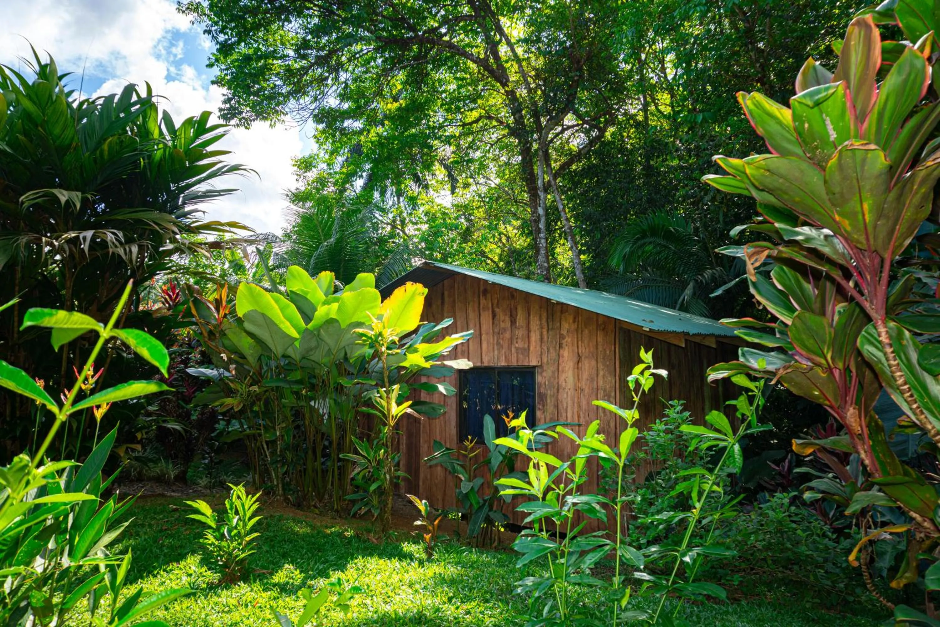 Garden in Citronela Lodge Corcovado
