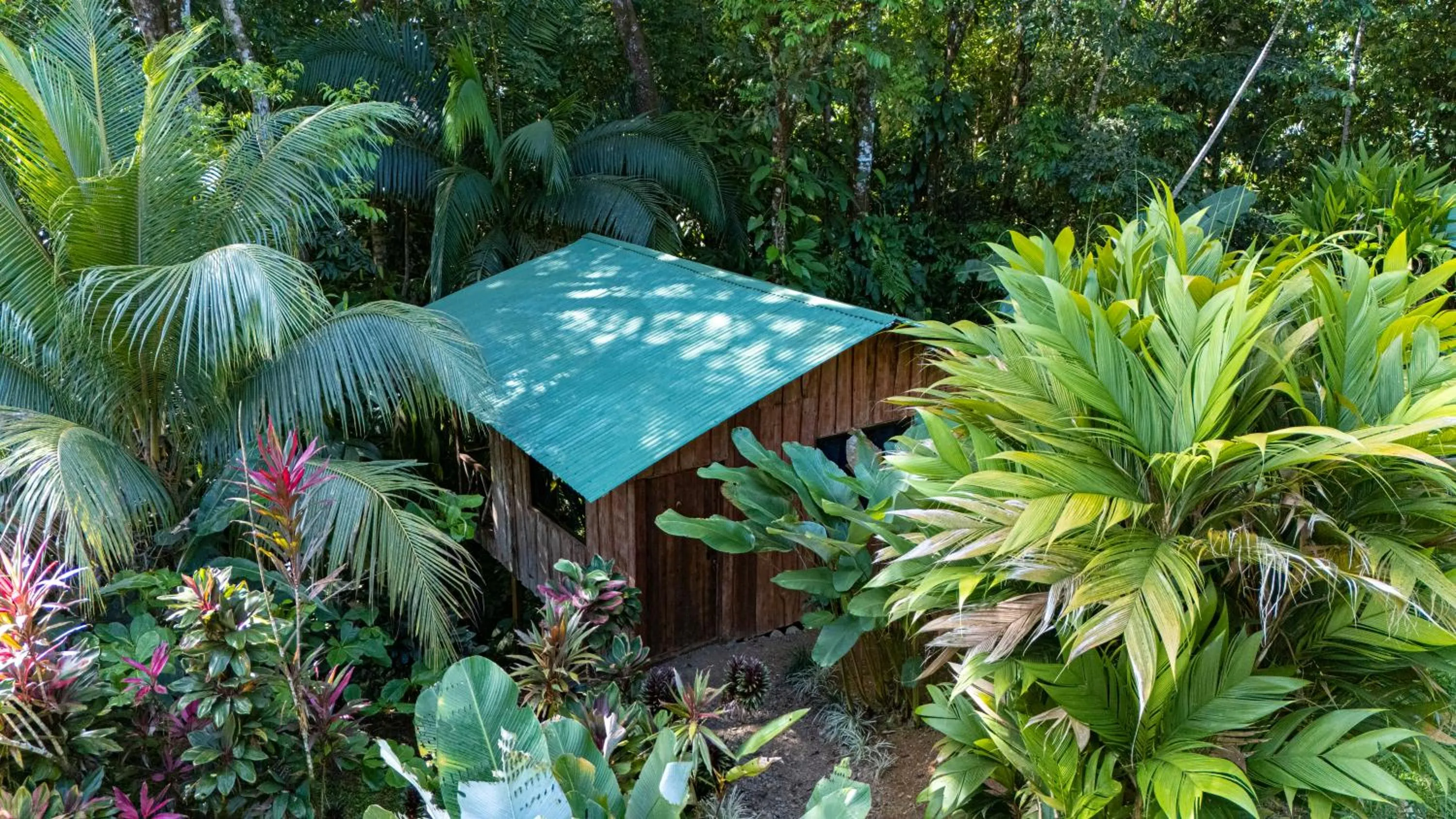 Garden view in Citronela Lodge Corcovado