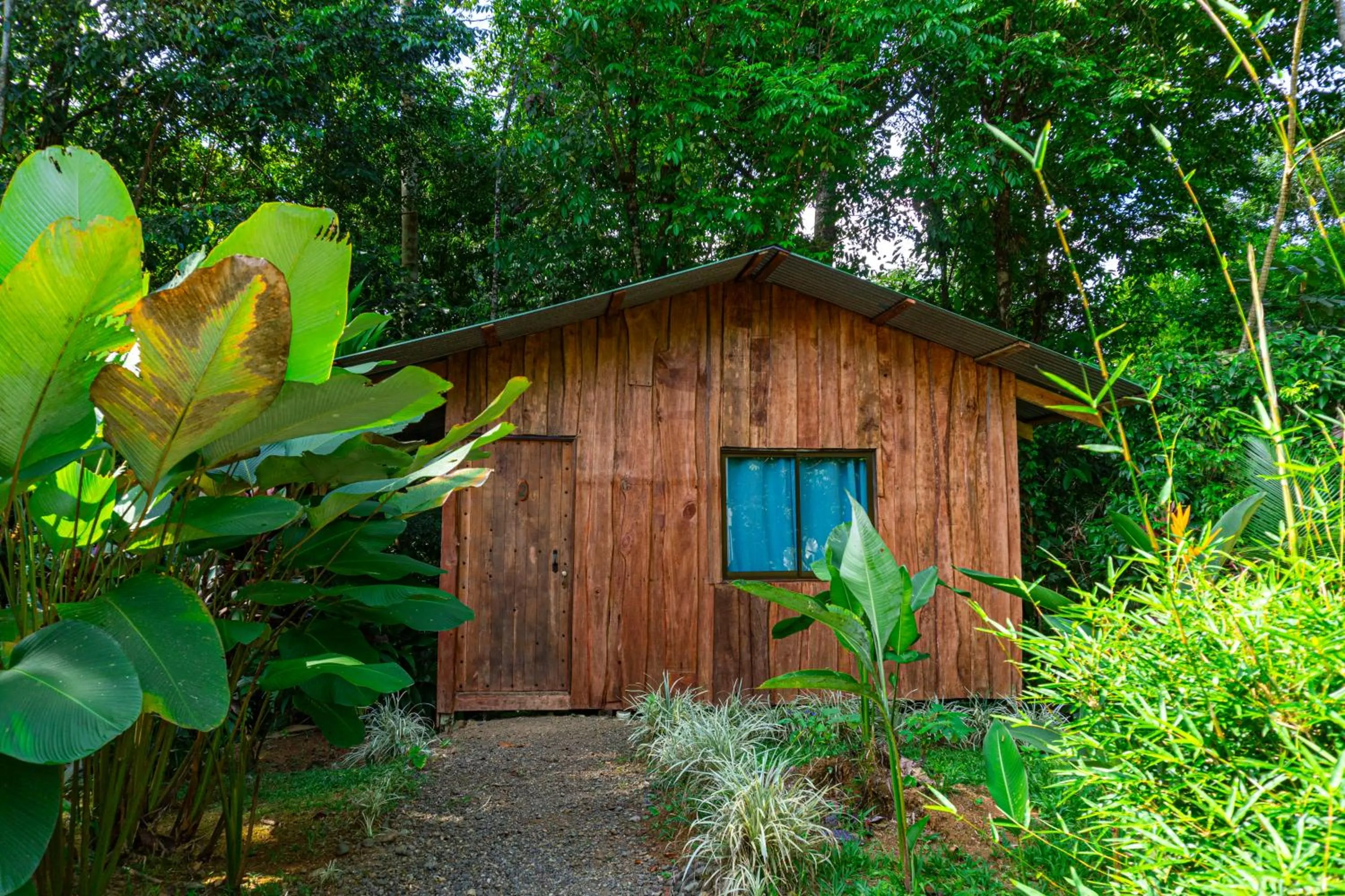 Garden in Citronela Lodge Corcovado