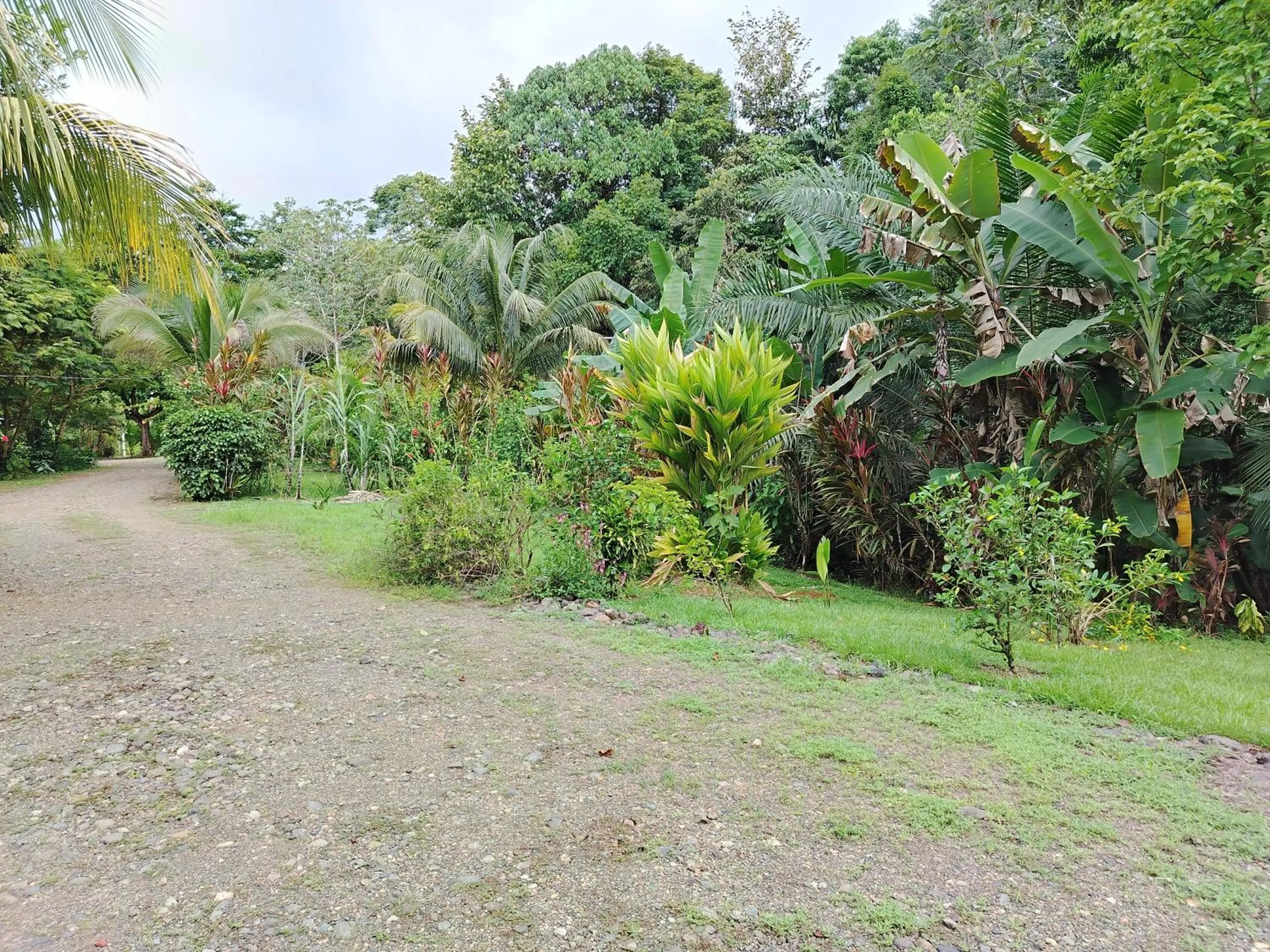 Garden in Citronela Lodge Corcovado