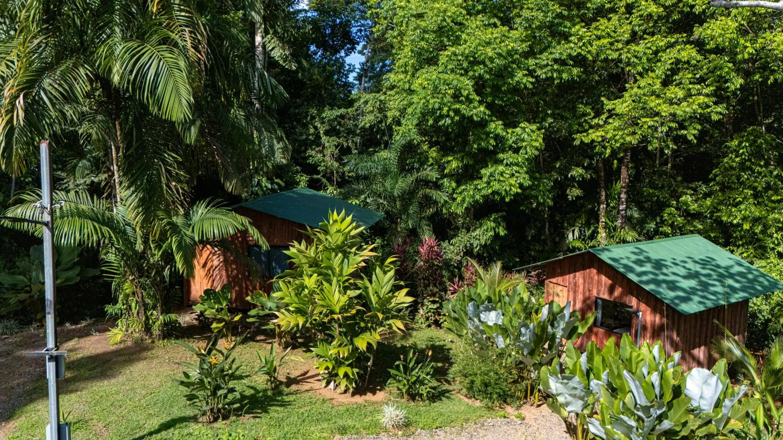 Natural landscape in Citronela Lodge Corcovado