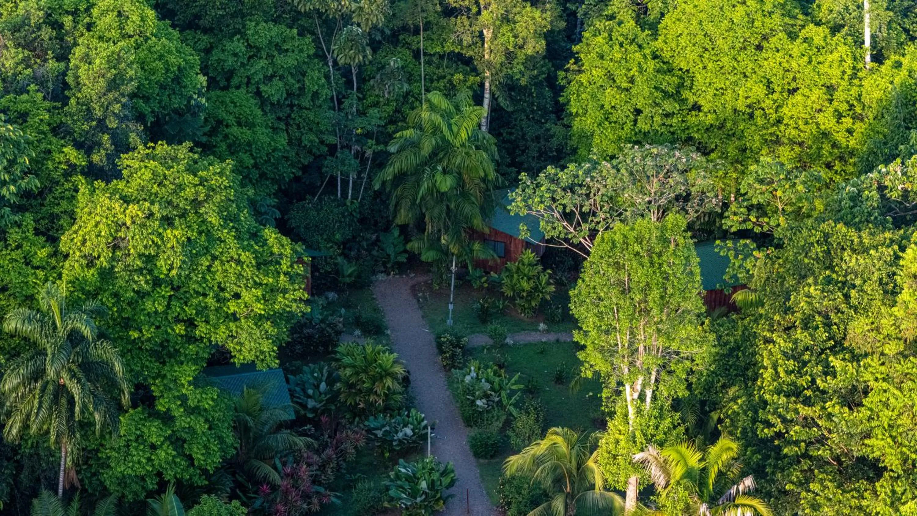 Garden in Citronela Lodge Corcovado
