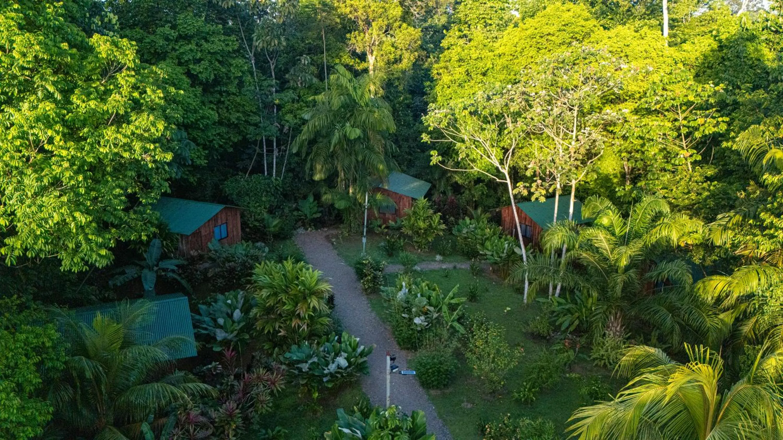 Natural landscape in Citronela Lodge Corcovado