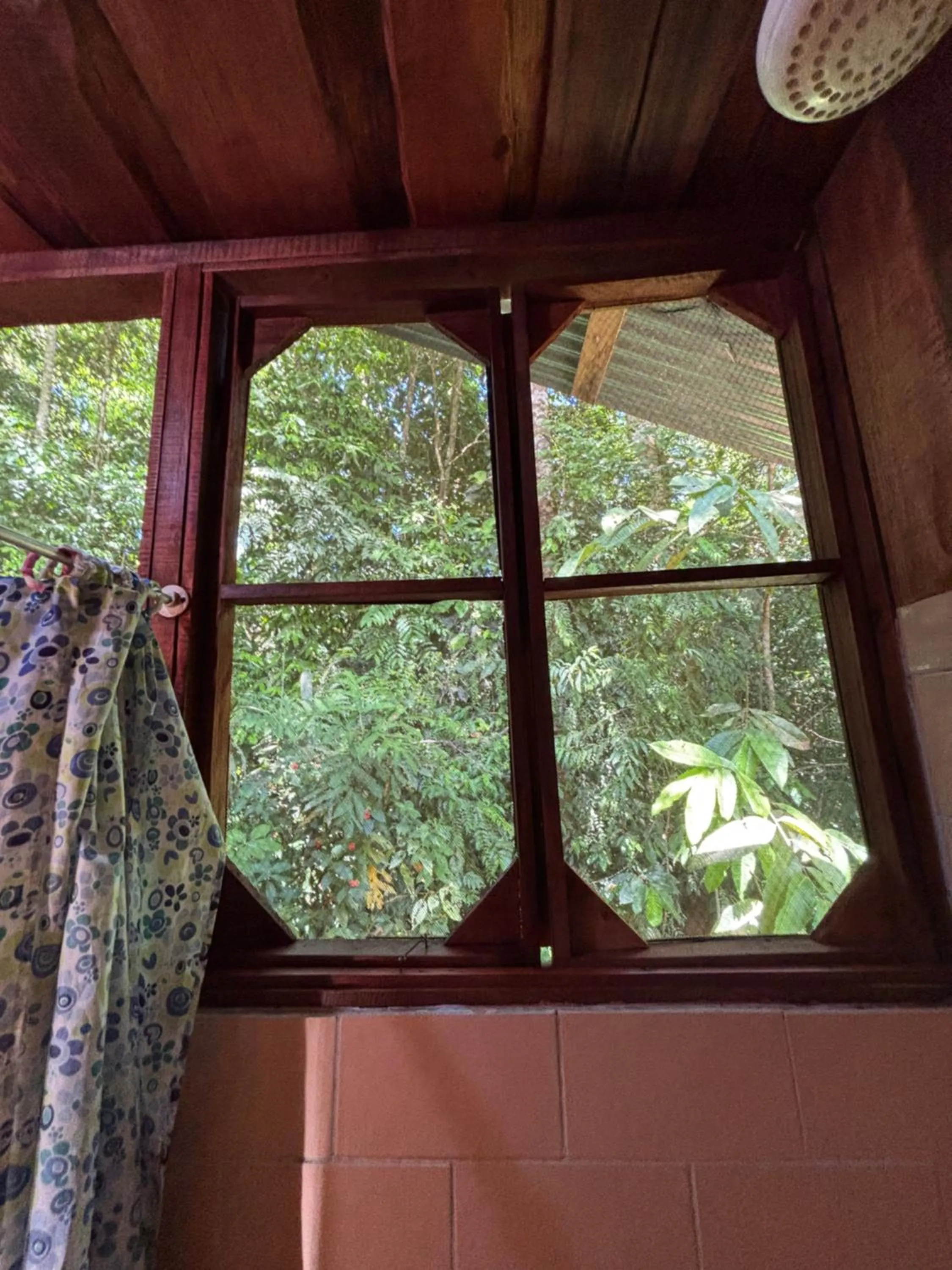 Summer in Citronela Lodge Corcovado