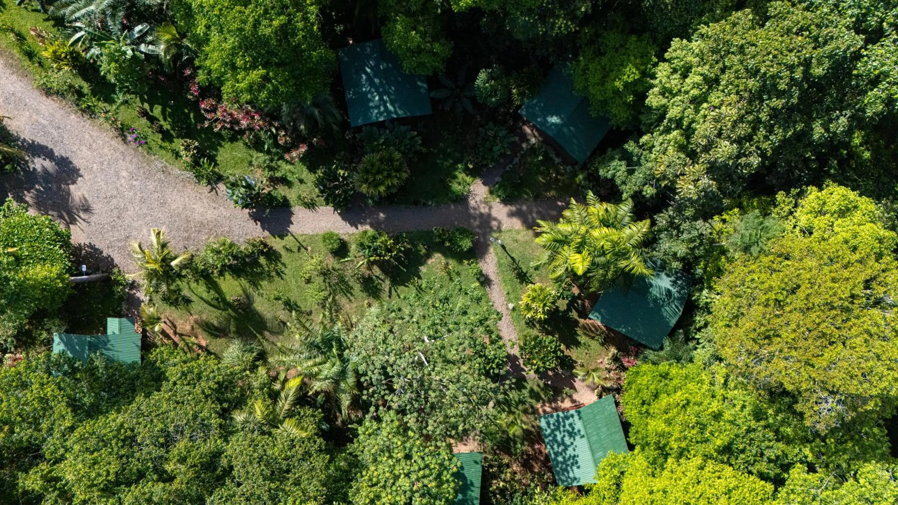 Natural landscape in Citronela Lodge Corcovado