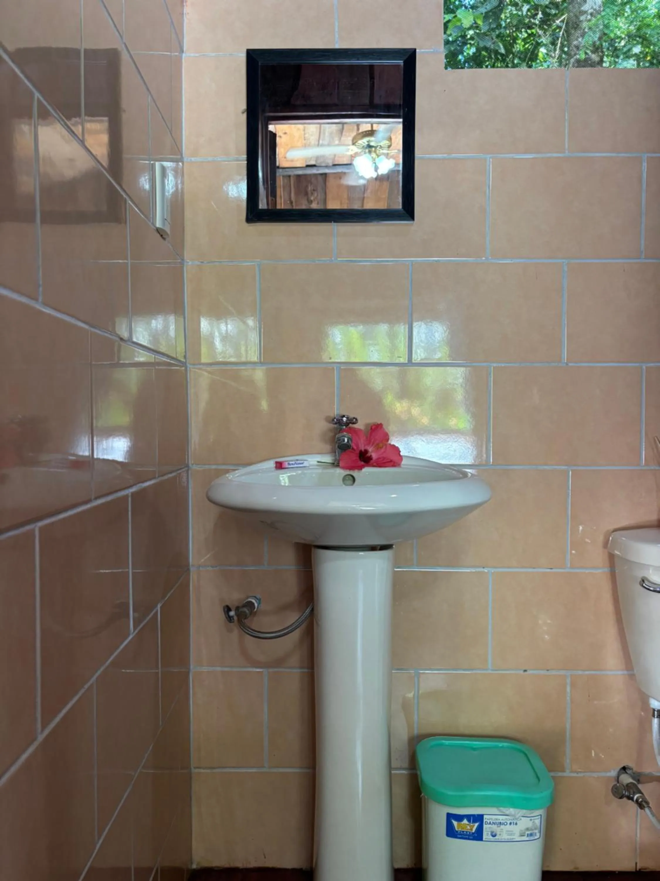 Bathroom in Citronela Lodge Corcovado