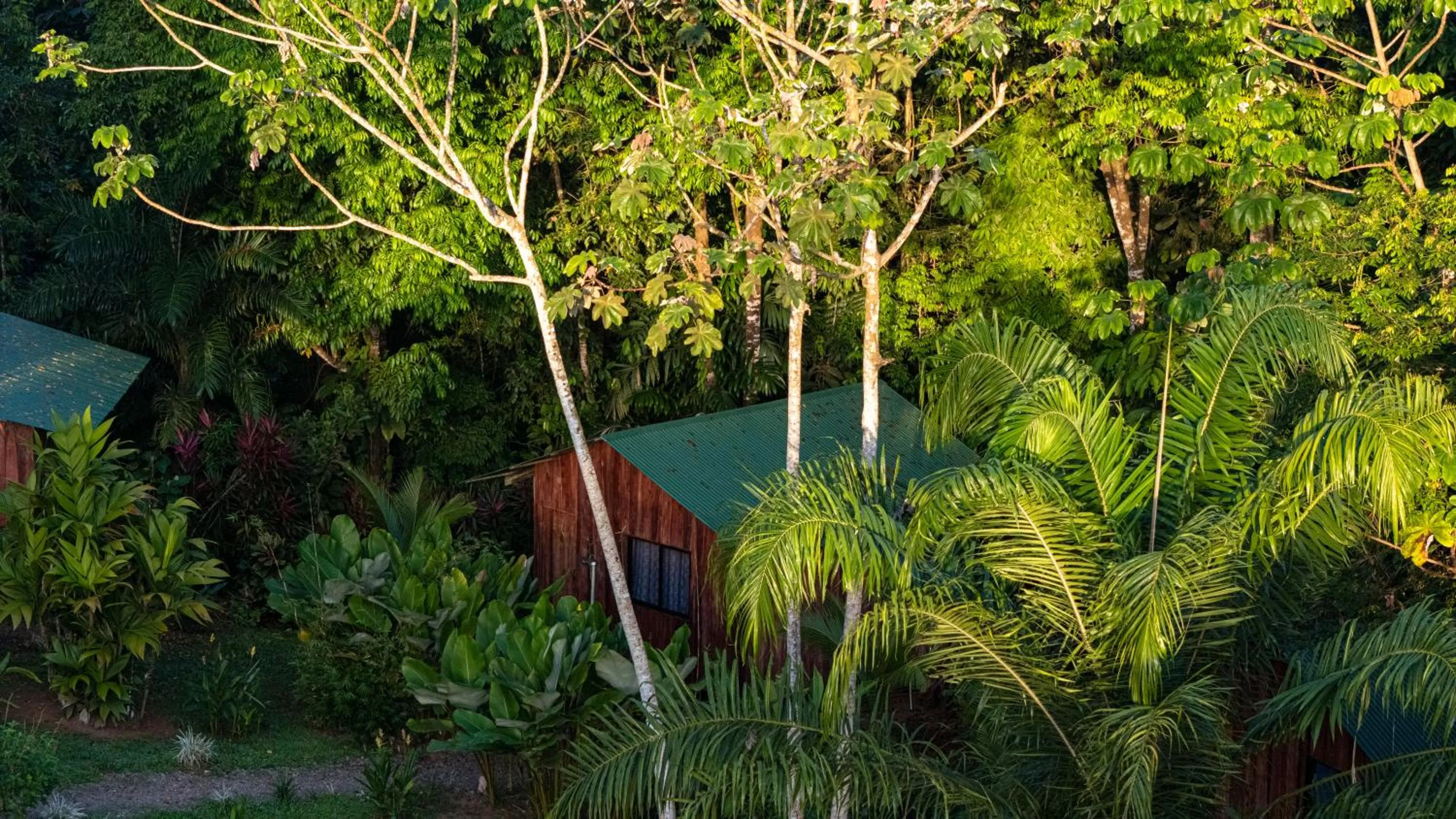 Garden in Citronela Lodge Corcovado