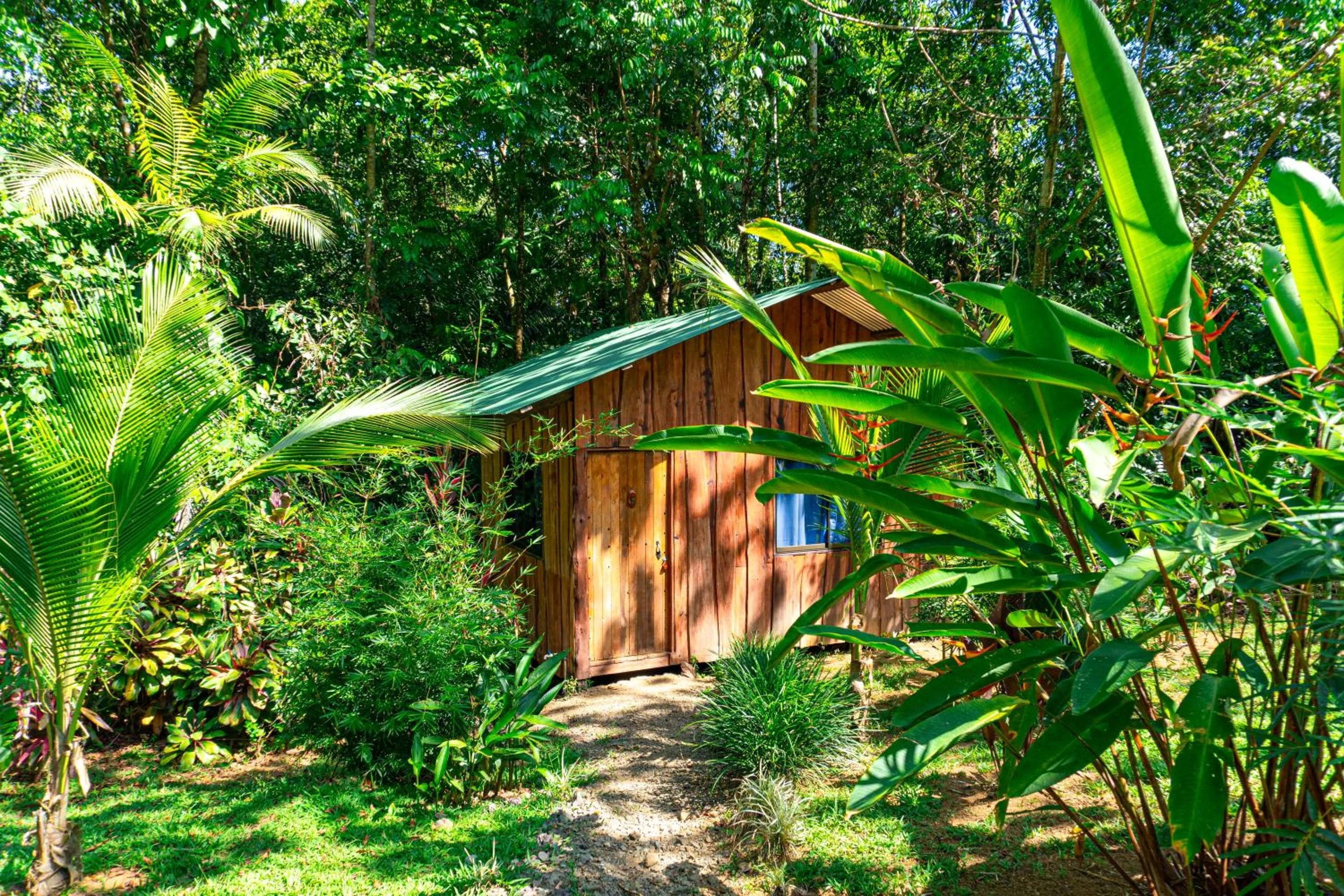Garden in Citronela Lodge Corcovado