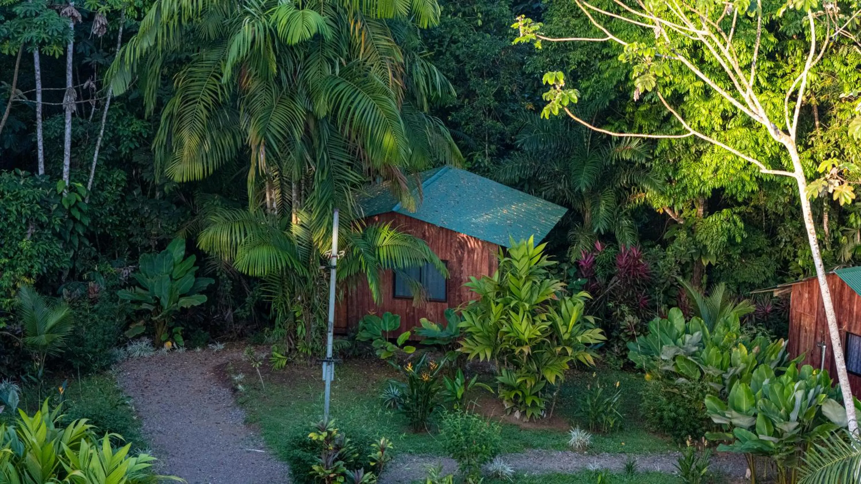 Garden in Citronela Lodge Corcovado