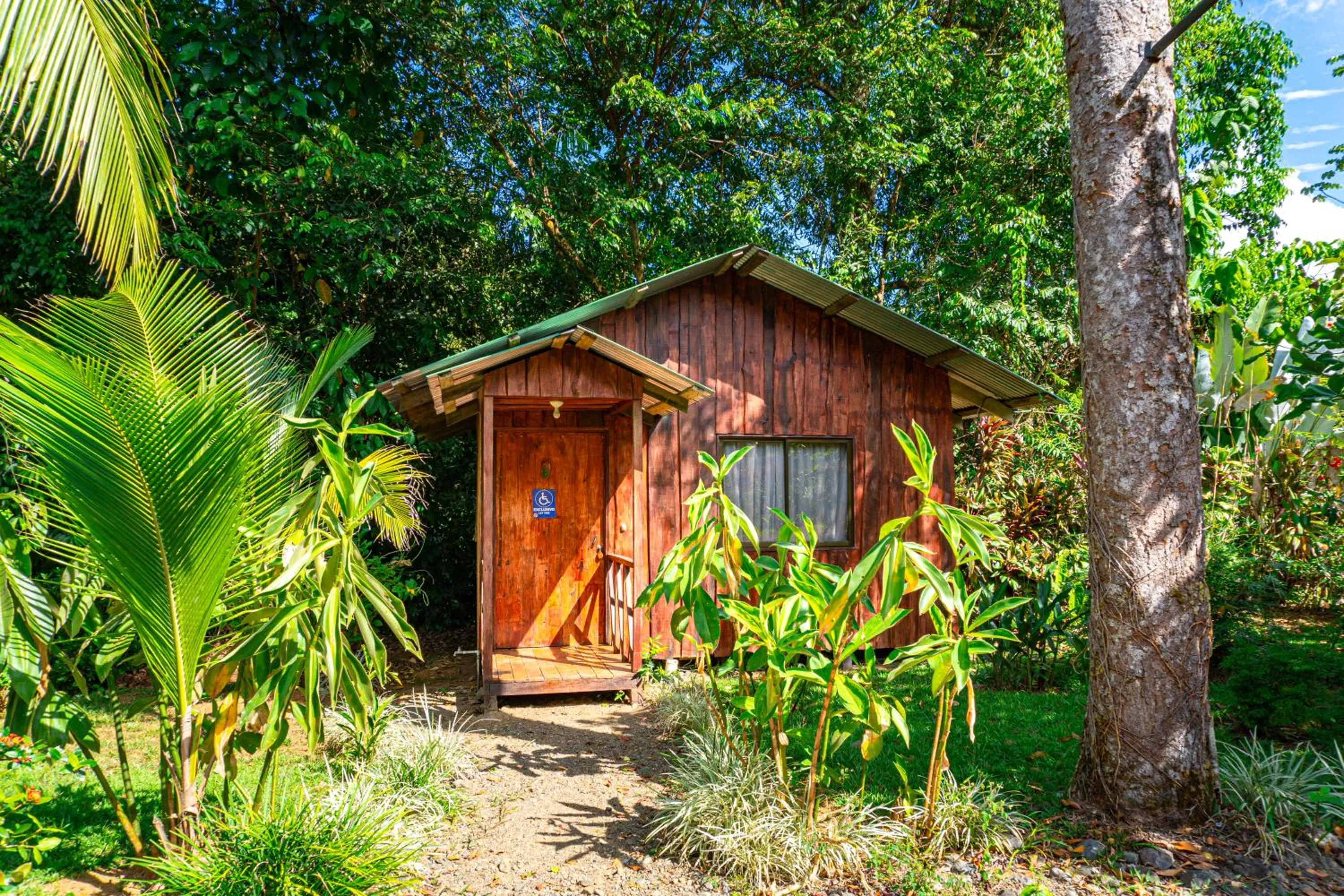 Natural landscape in Citronela Lodge Corcovado