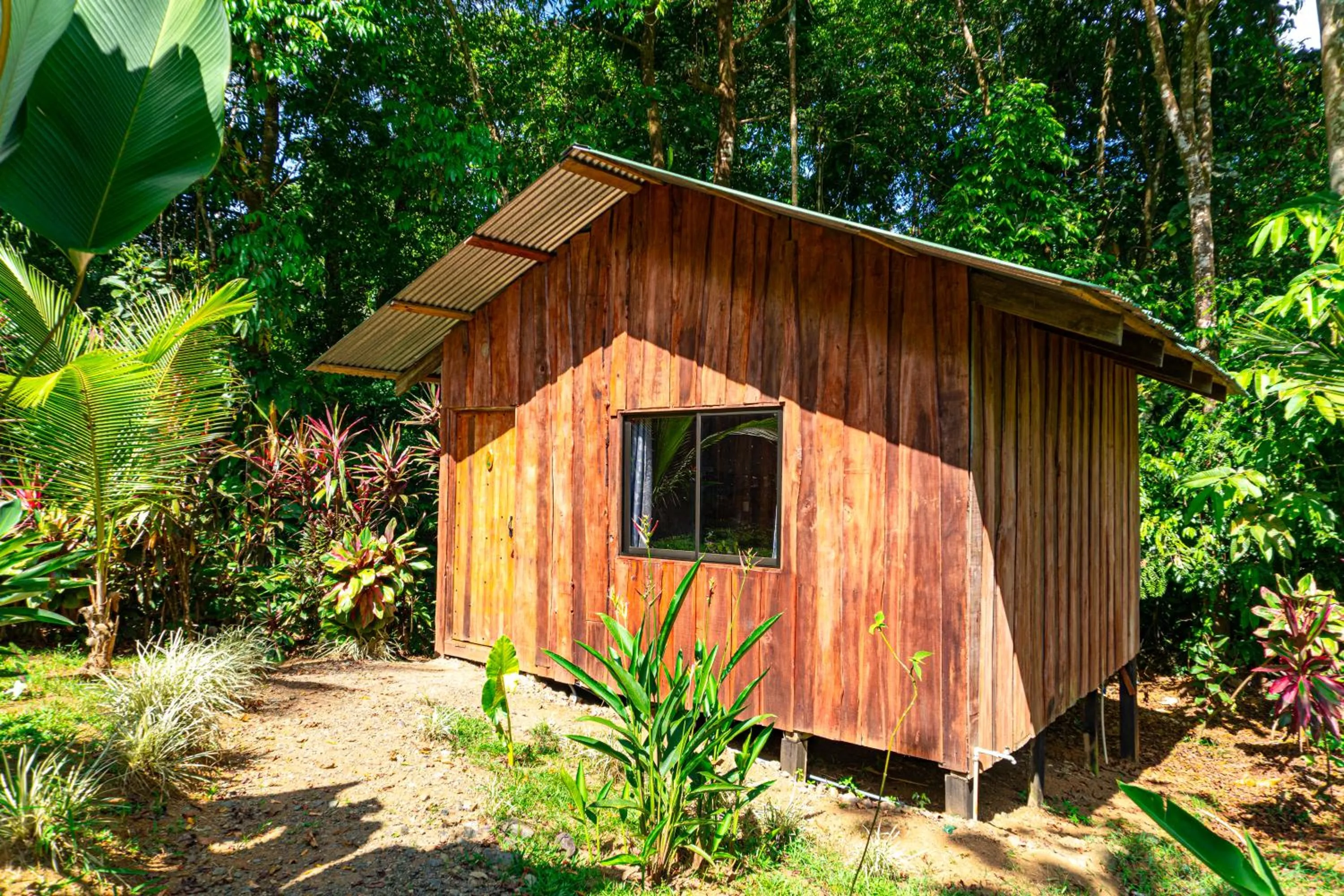 Garden in Citronela Lodge Corcovado