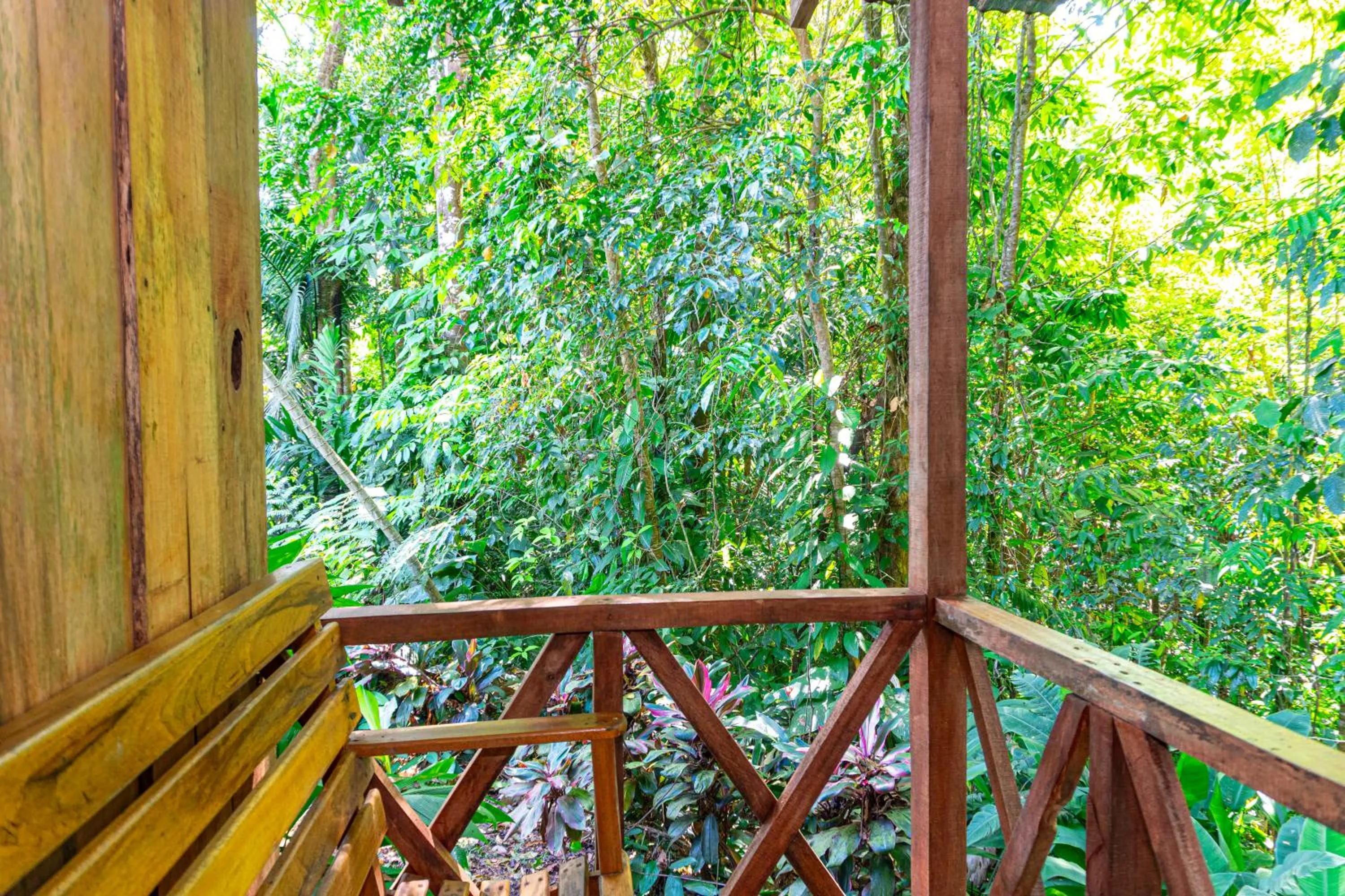 View (from property/room) in Citronela Lodge Corcovado