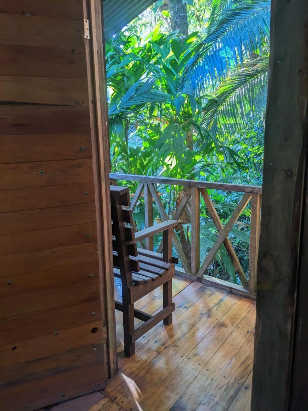 Balcony/Terrace in Citronela Lodge Corcovado
