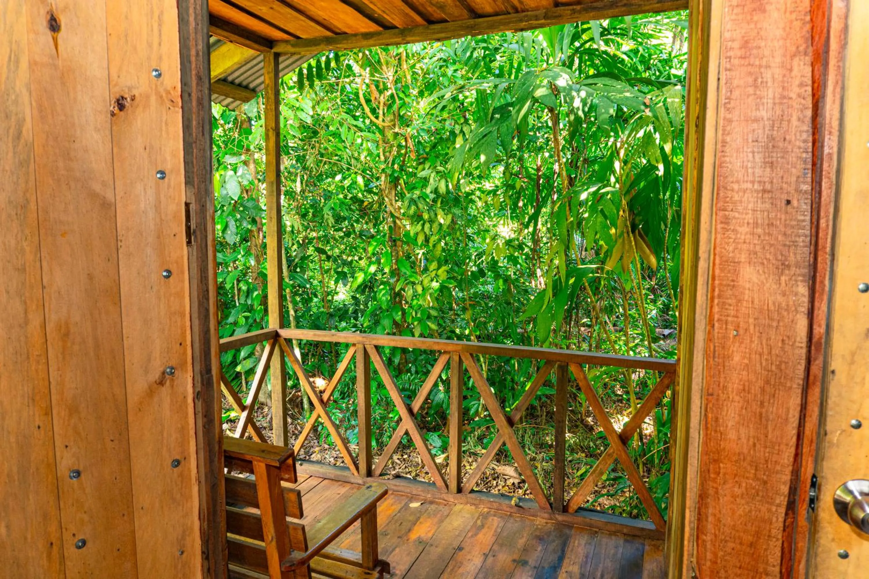 Garden in Citronela Lodge Corcovado
