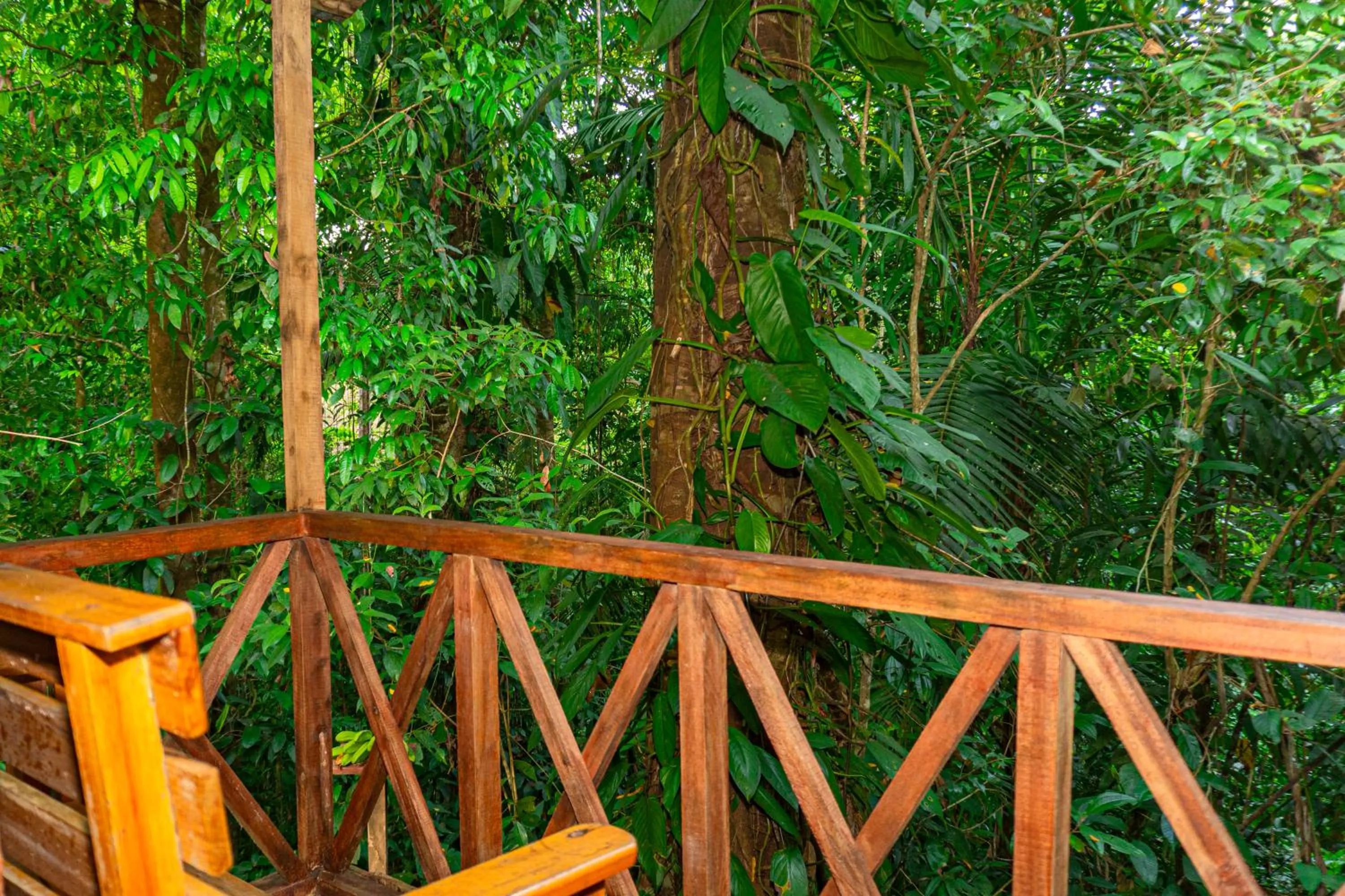 Balcony/Terrace in Citronela Lodge Corcovado