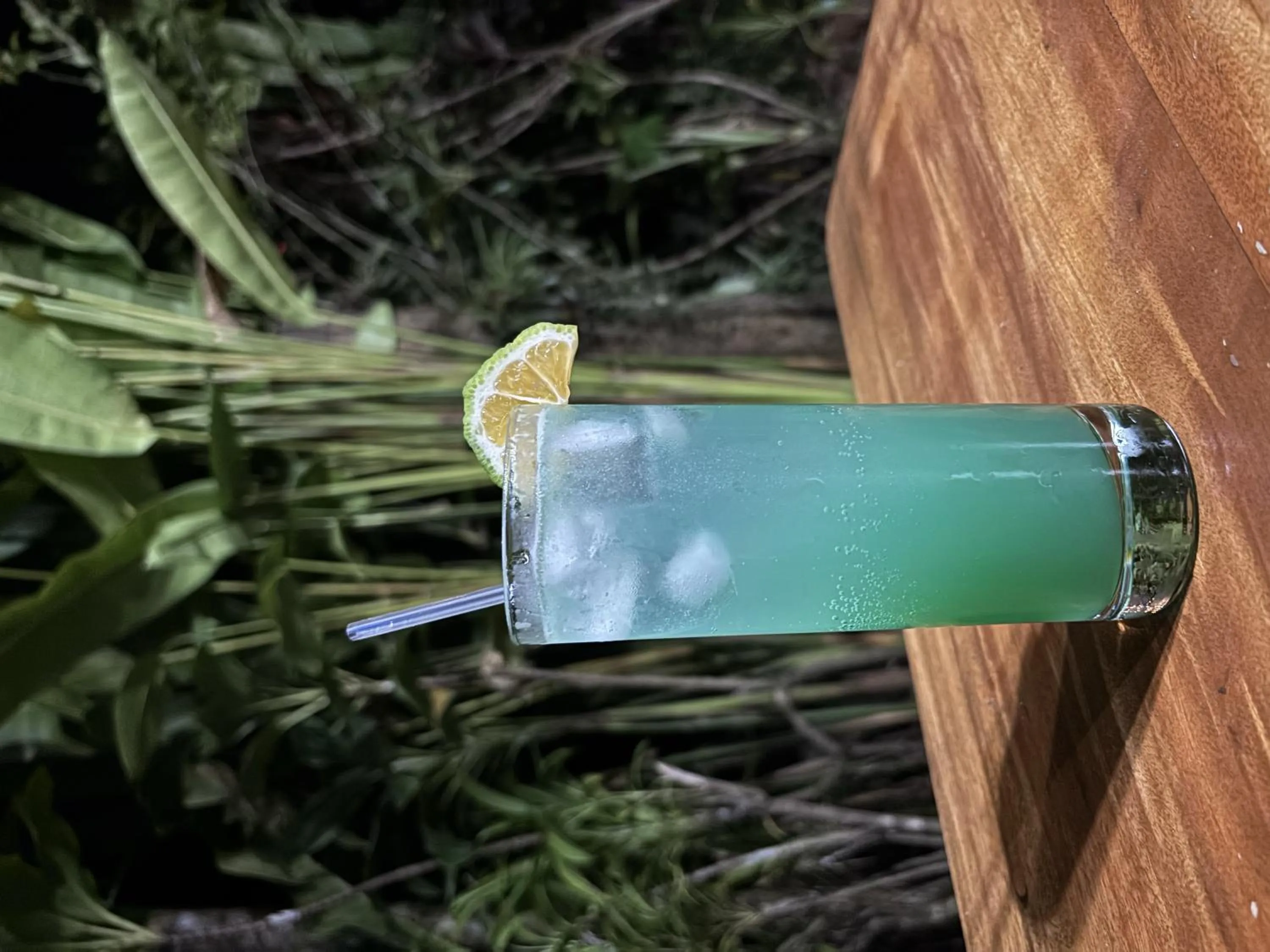 Food and drinks in Citronela Lodge Corcovado