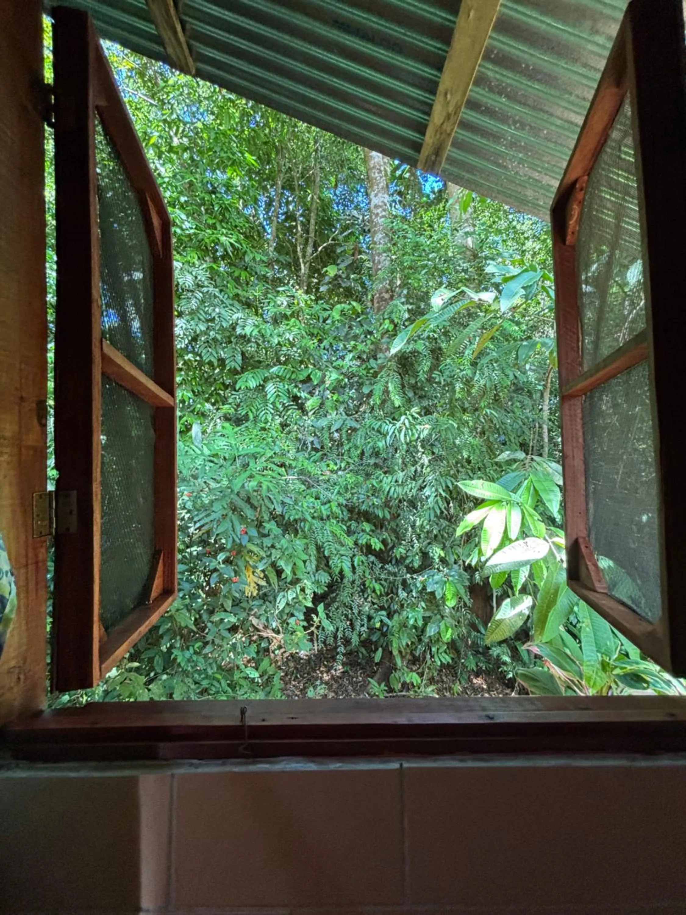 Garden view in Citronela Lodge Corcovado