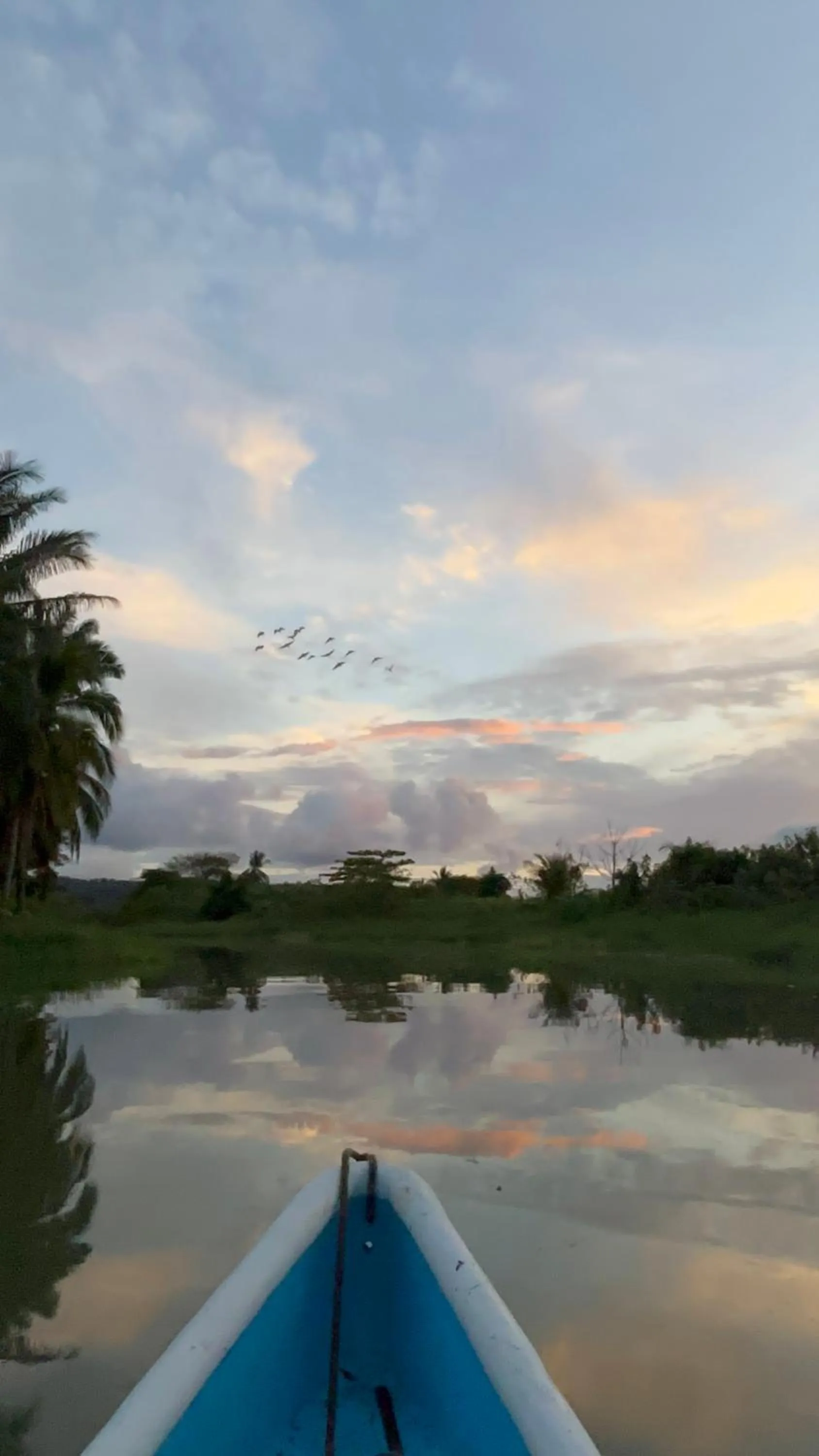 Natural landscape in Citronela Lodge Corcovado