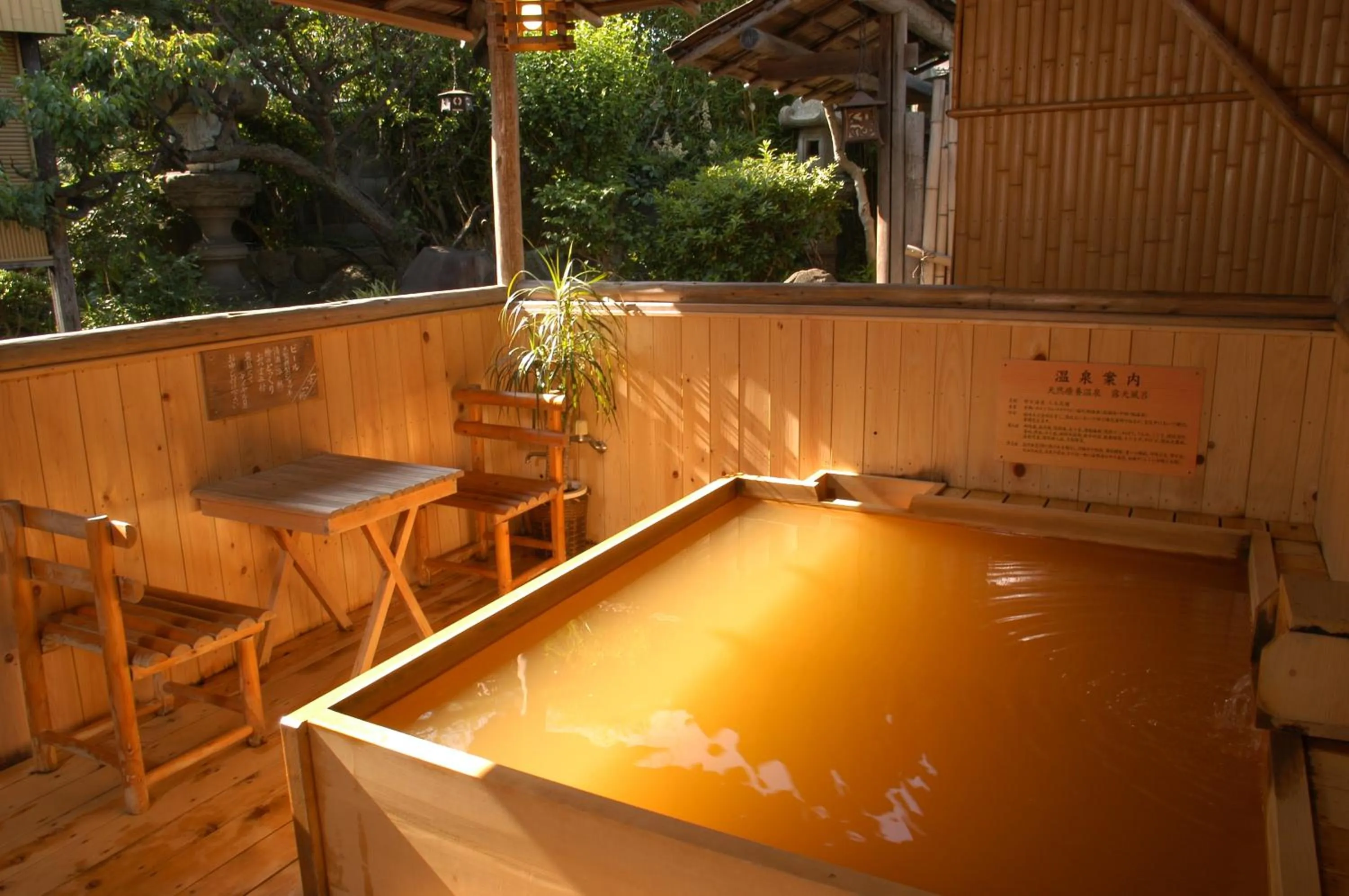 Hot Spring Bath in Hitomaru Kadan