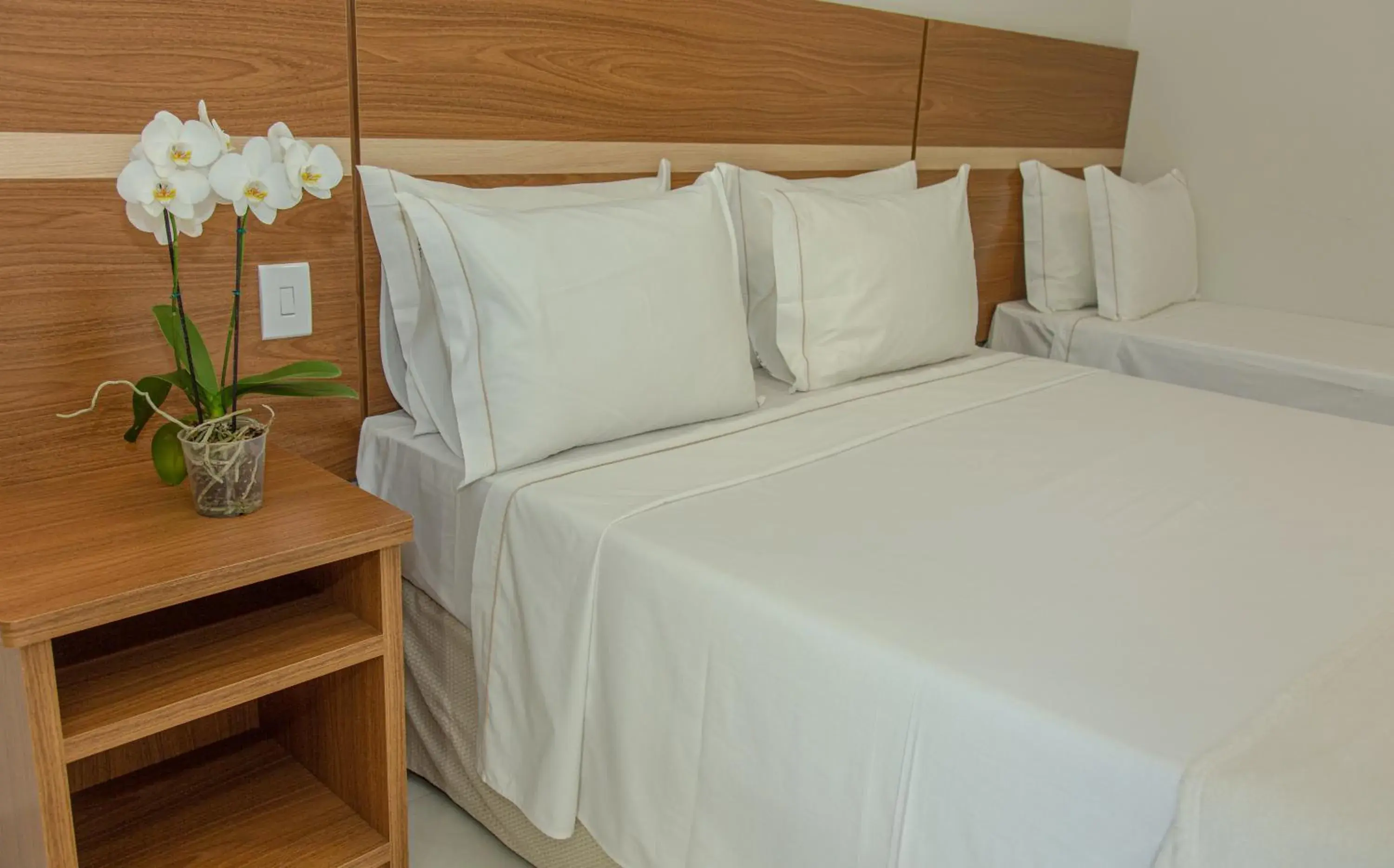 Standard Double Room in Orquídeas Praia Hotel Standard Double Room in Orquídeas Praia Hotel