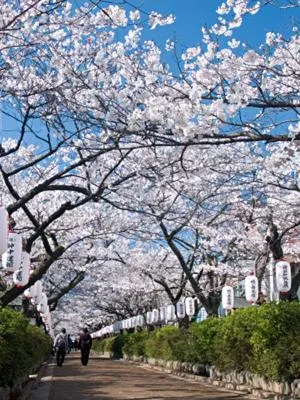 Area and facilities in Kakiya Ryokan