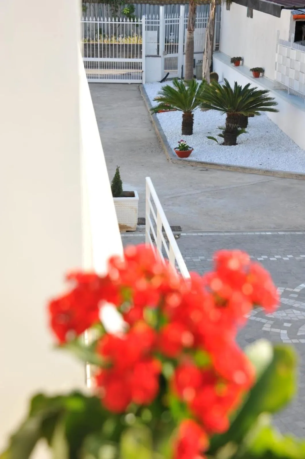 Balcony/Terrace in B&B Le due Rose (Pompei)