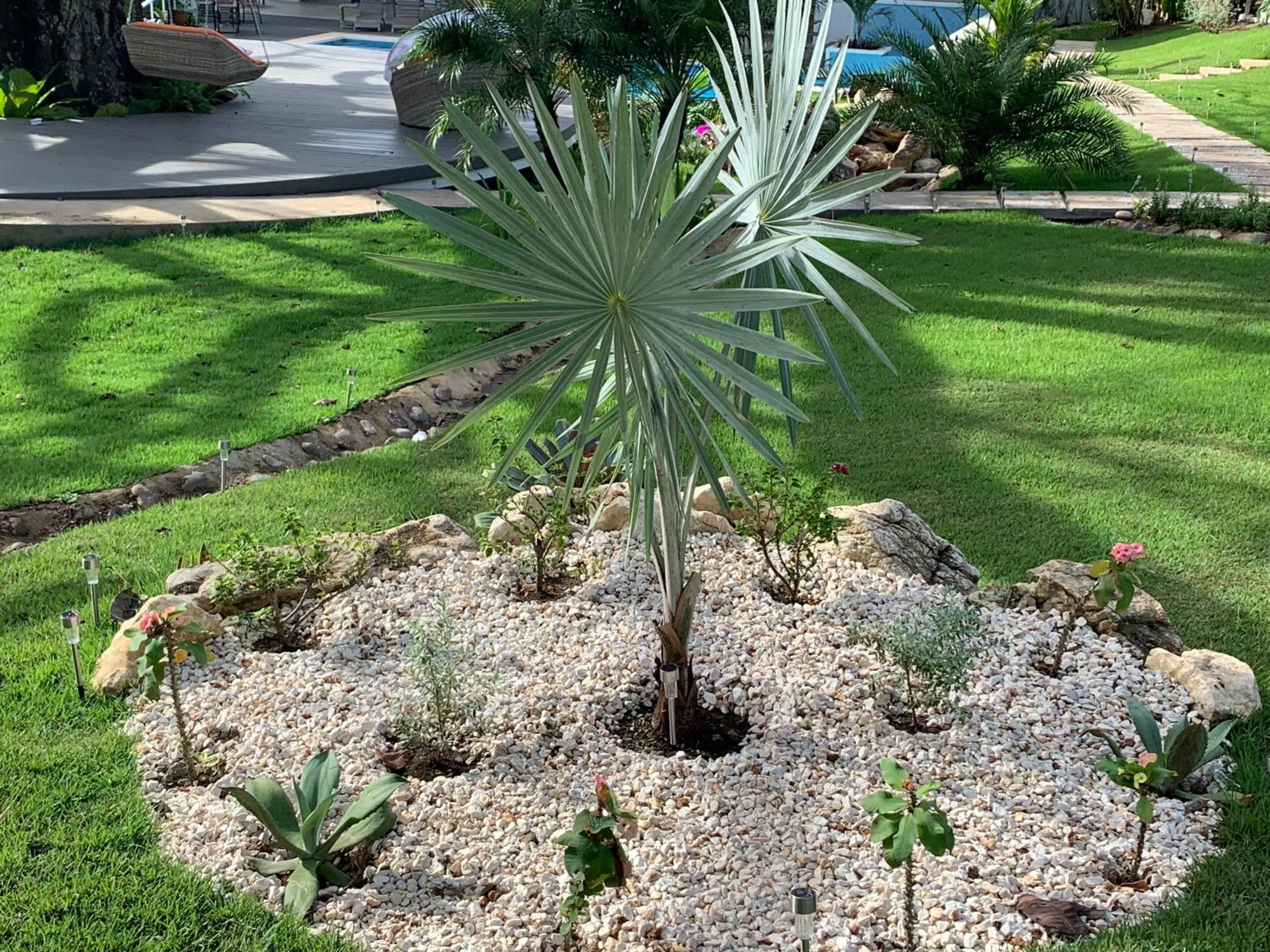 Garden in Aves Resort Montezuma