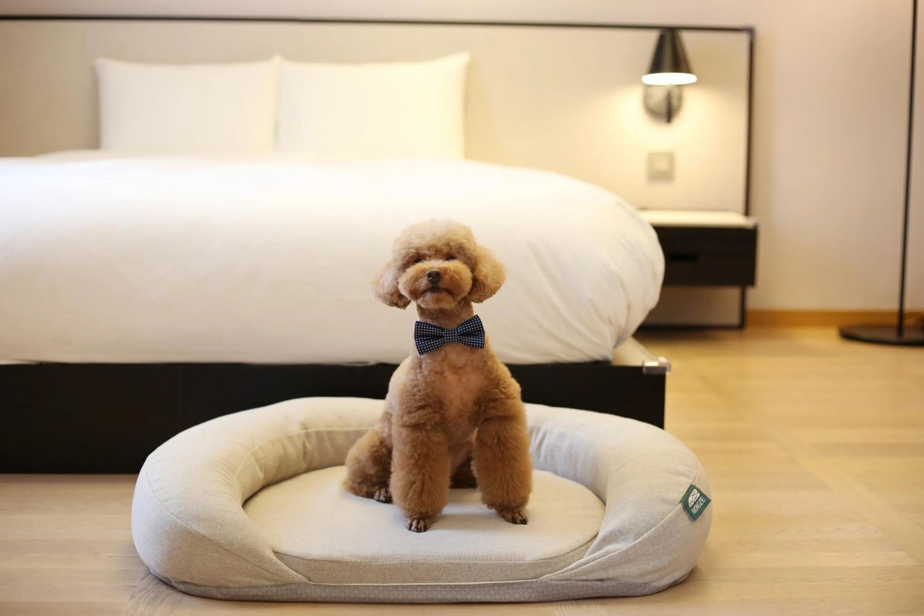 Bed in Maison Glad Jeju