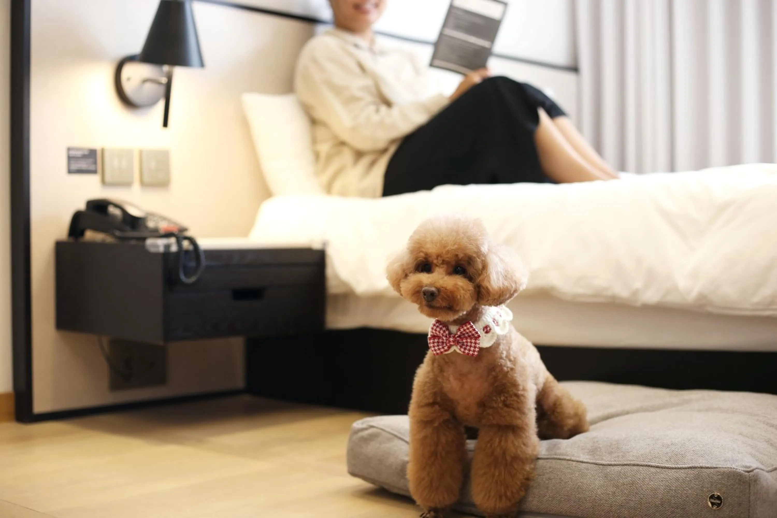 Bed in Maison Glad Jeju