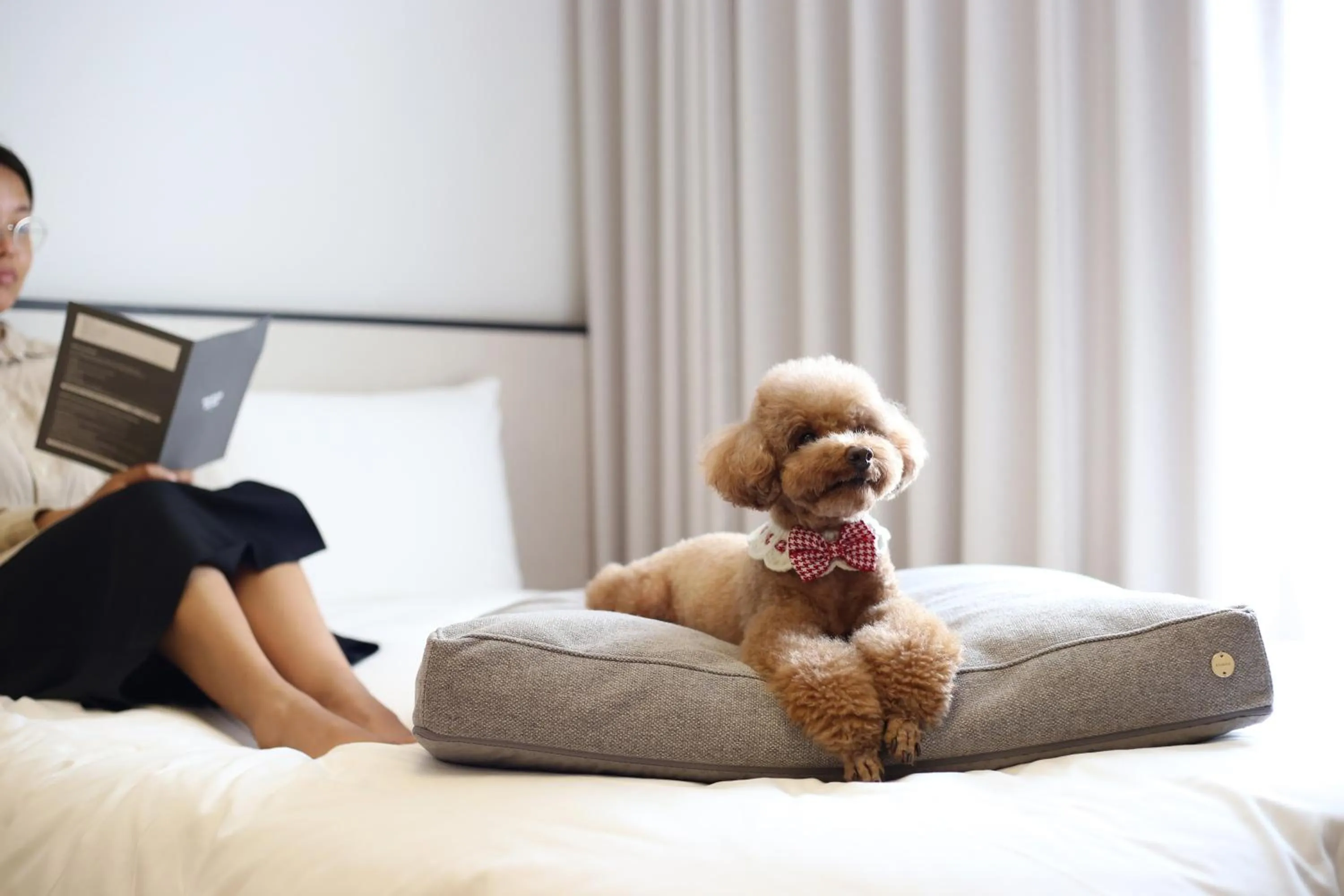 Bed in Maison Glad Jeju