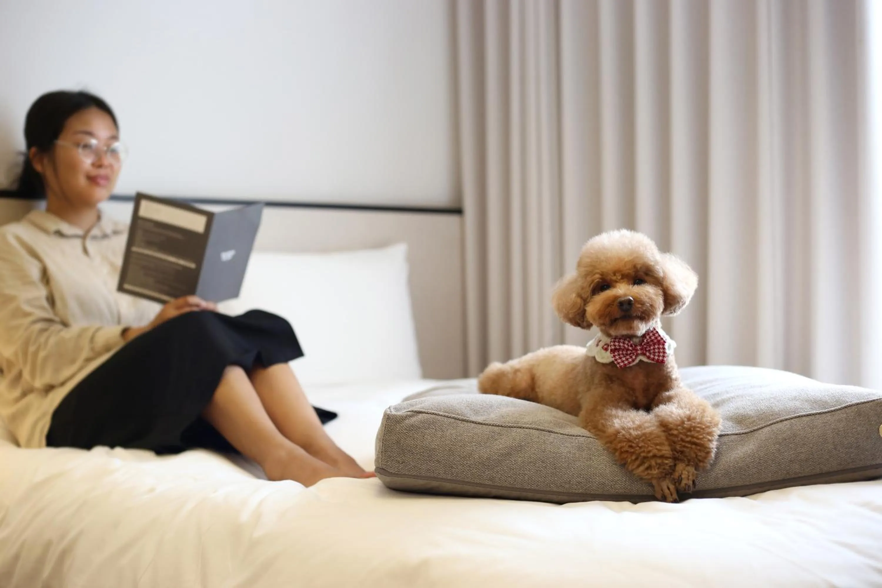 Pets in Maison Glad Jeju