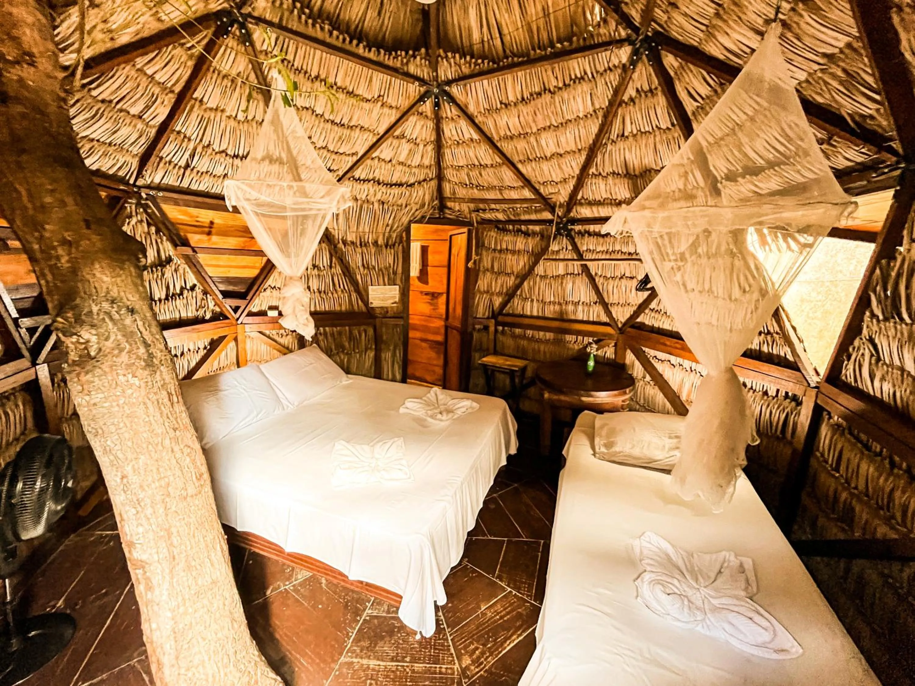 Bed in Raiz Kite Cabana