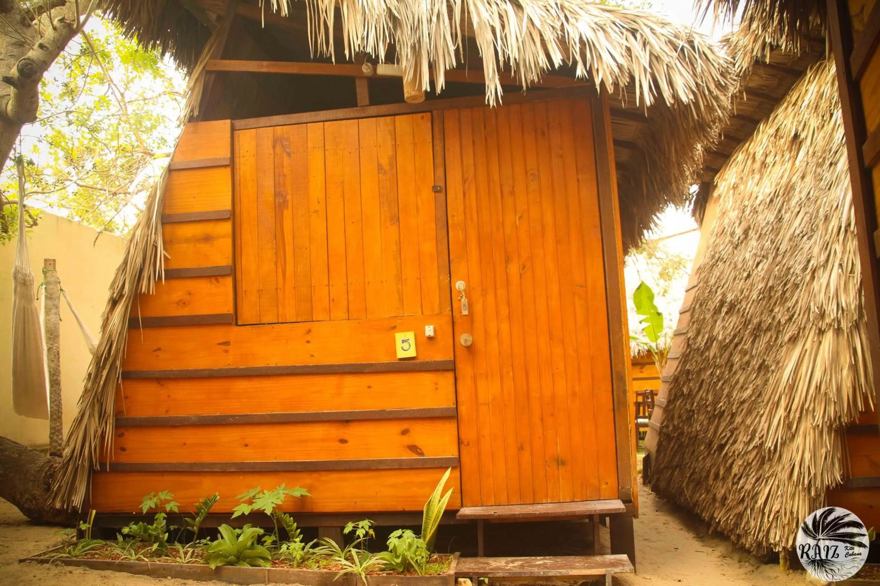 Raiz Kite Cabana