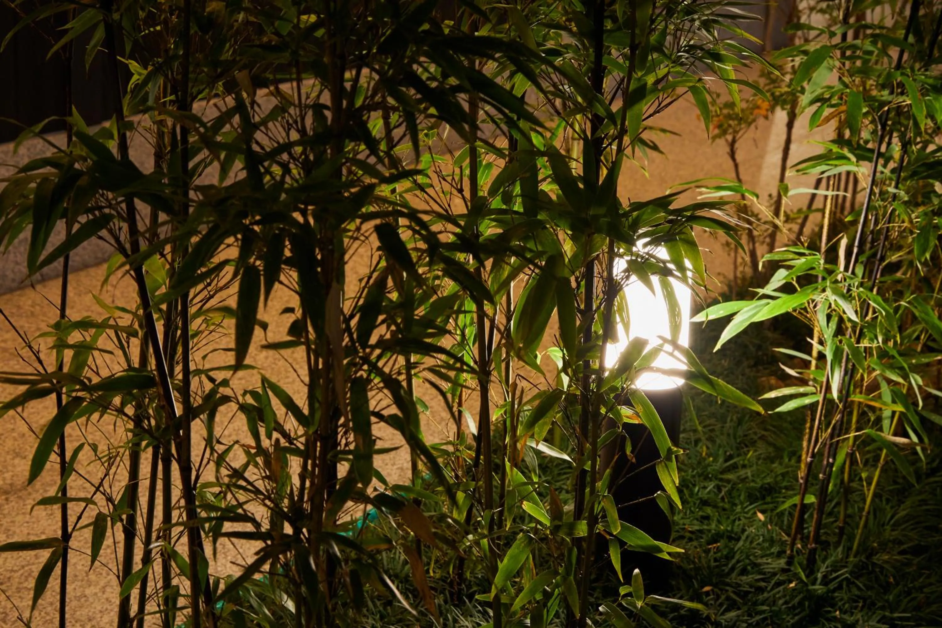 Garden in Rinn Shijo Nishinotoin