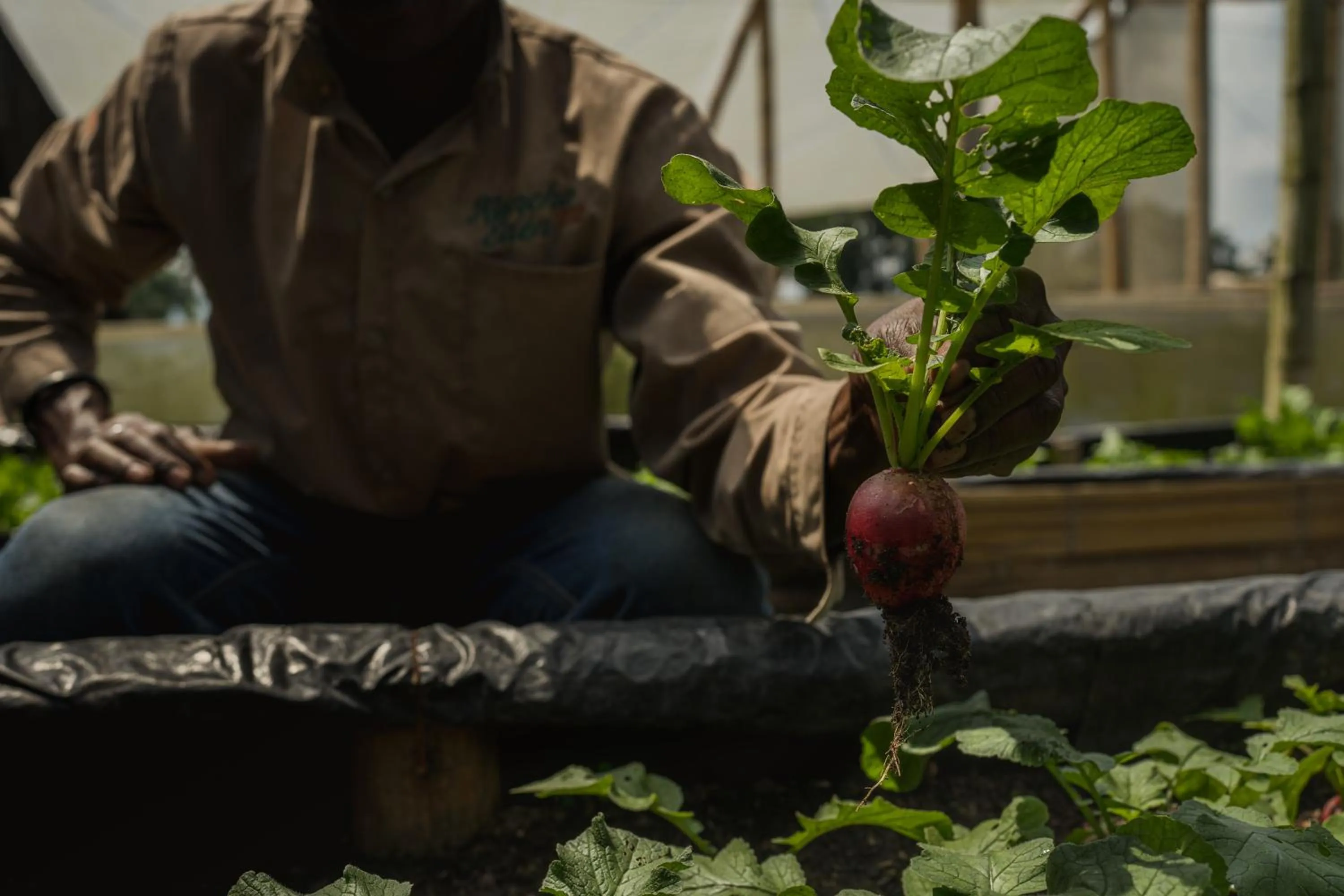 People in Rancho Eden