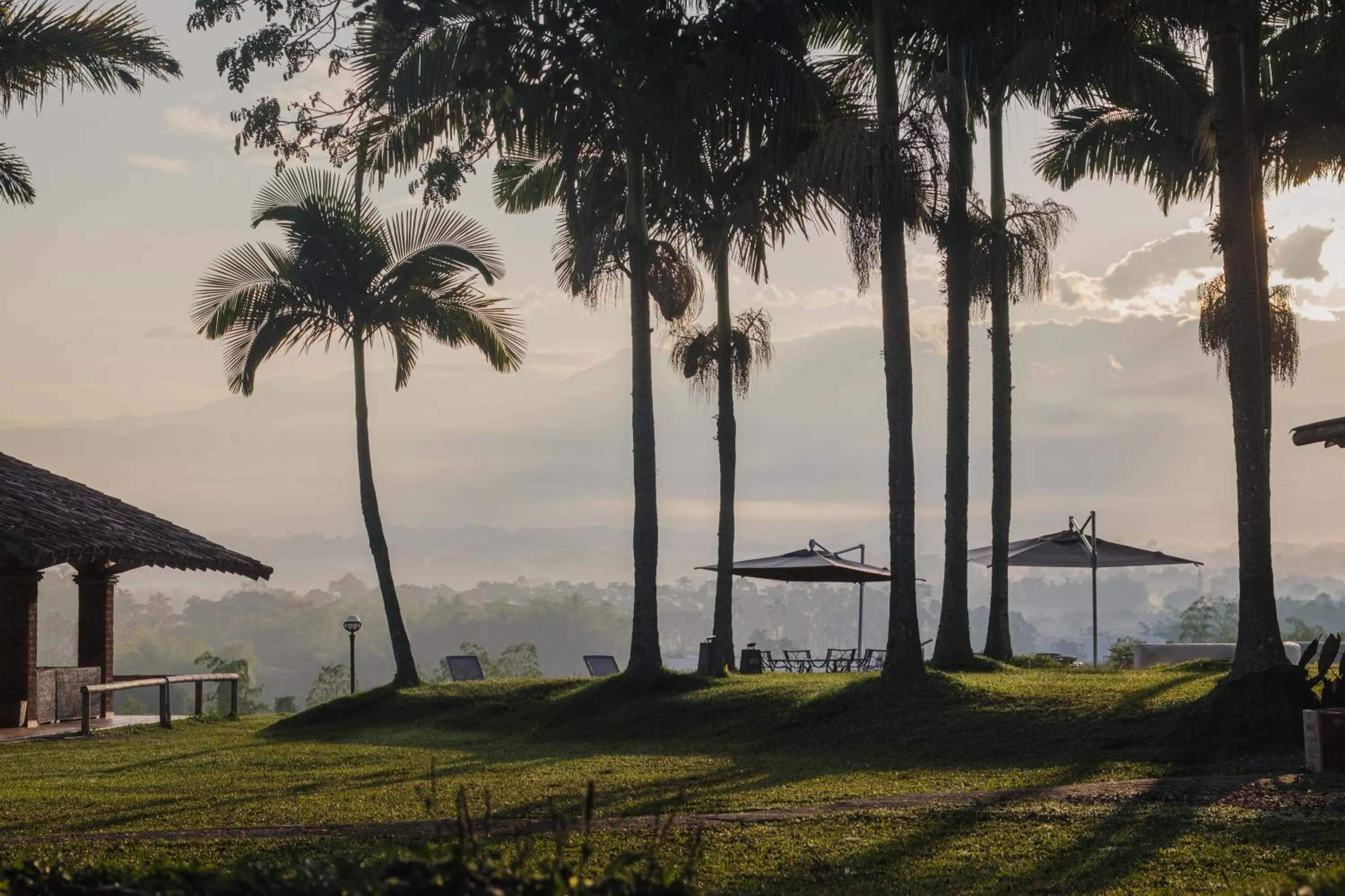Garden in Rancho Eden