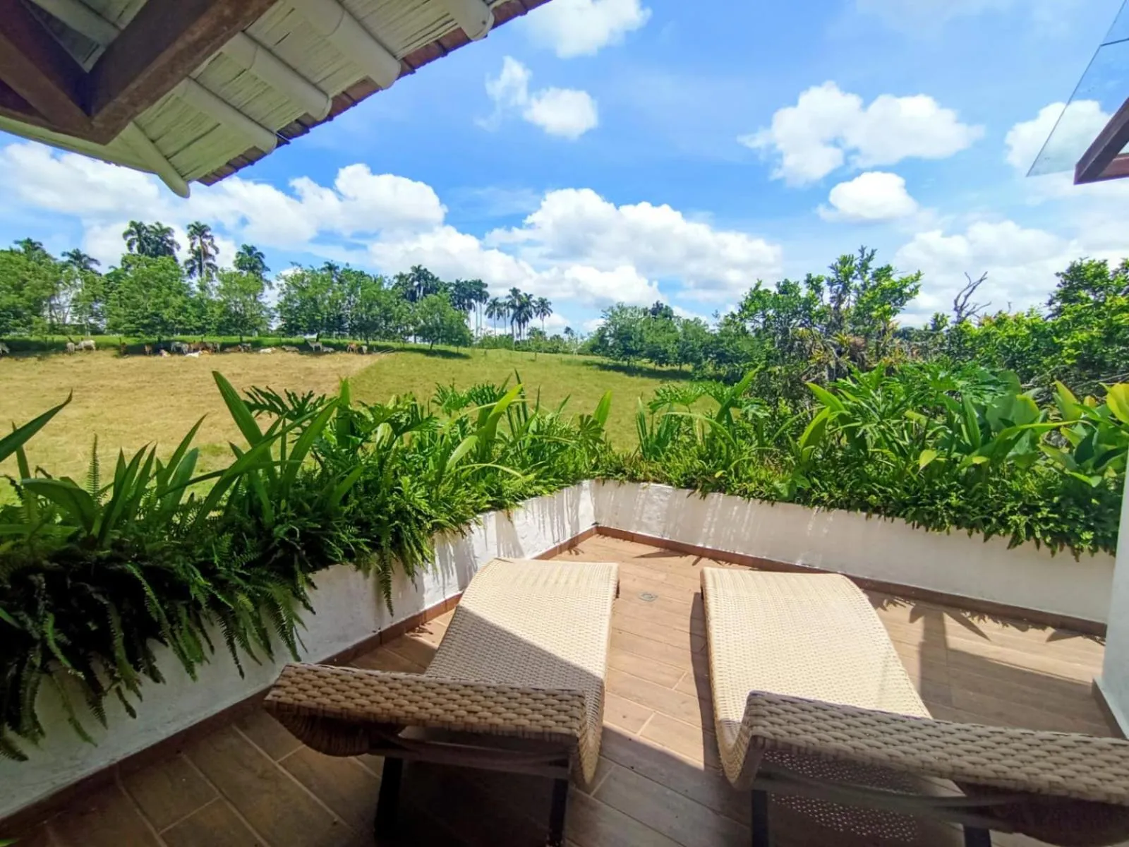 Balcony/Terrace in Rancho Eden
