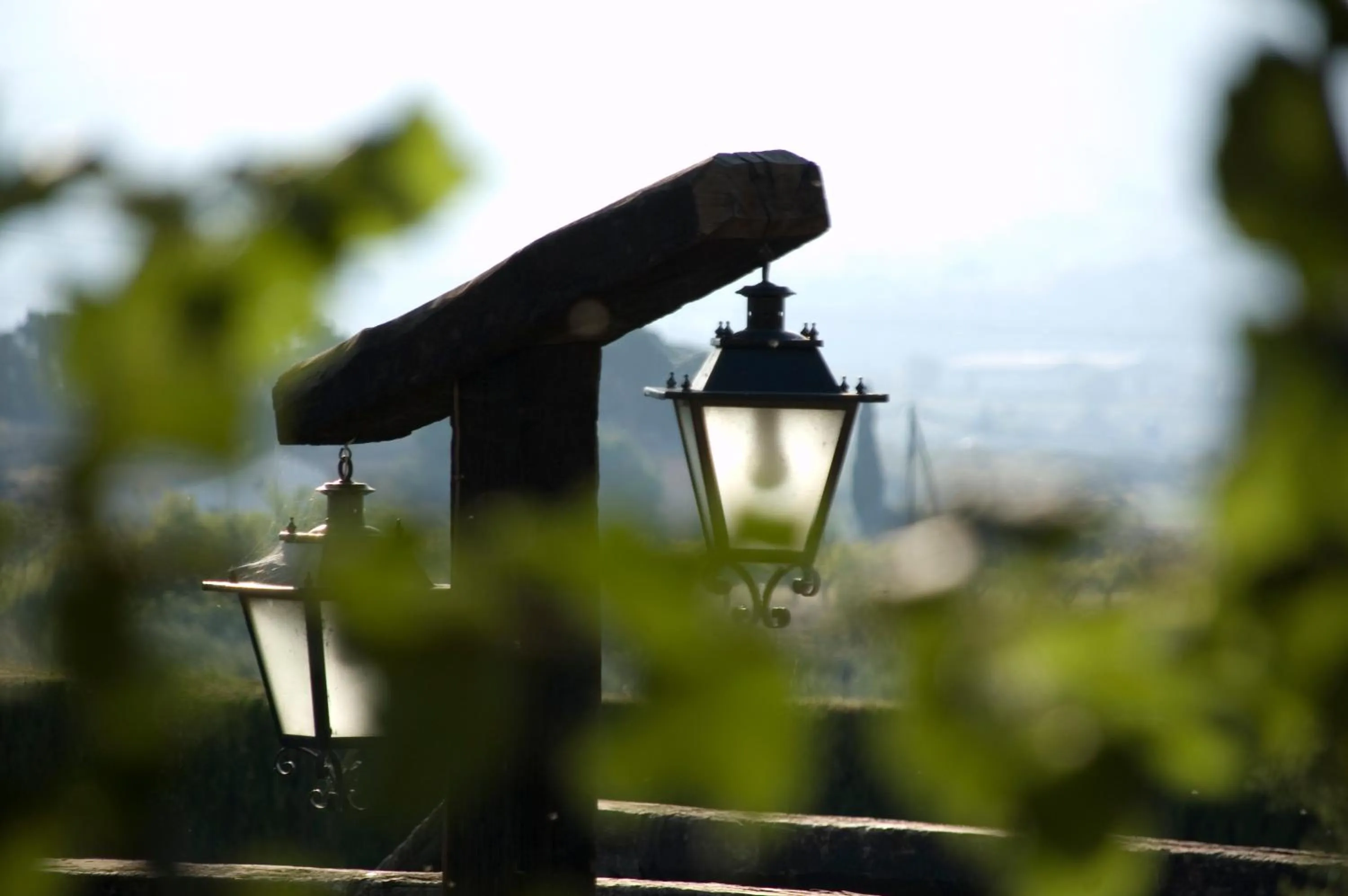 Garden in Hotel Caseta Nova