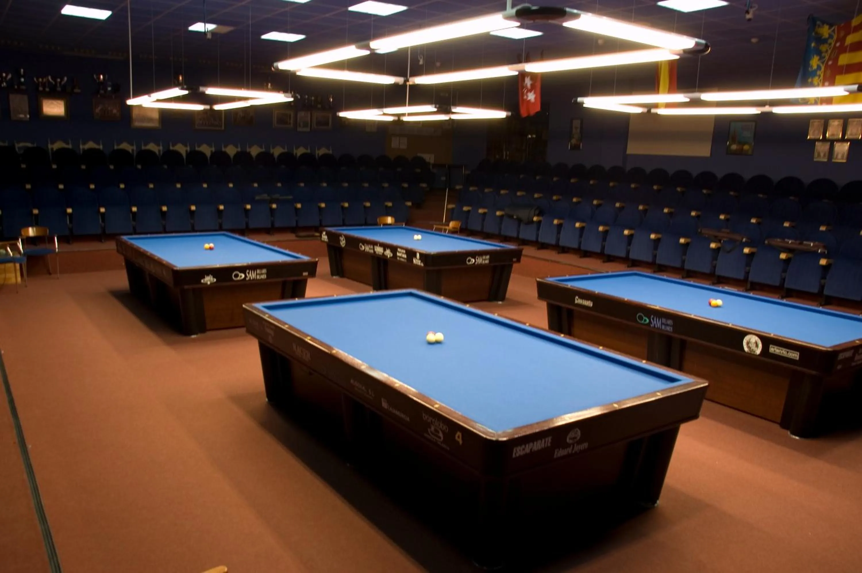 Billiard in Hotel Caseta Nova