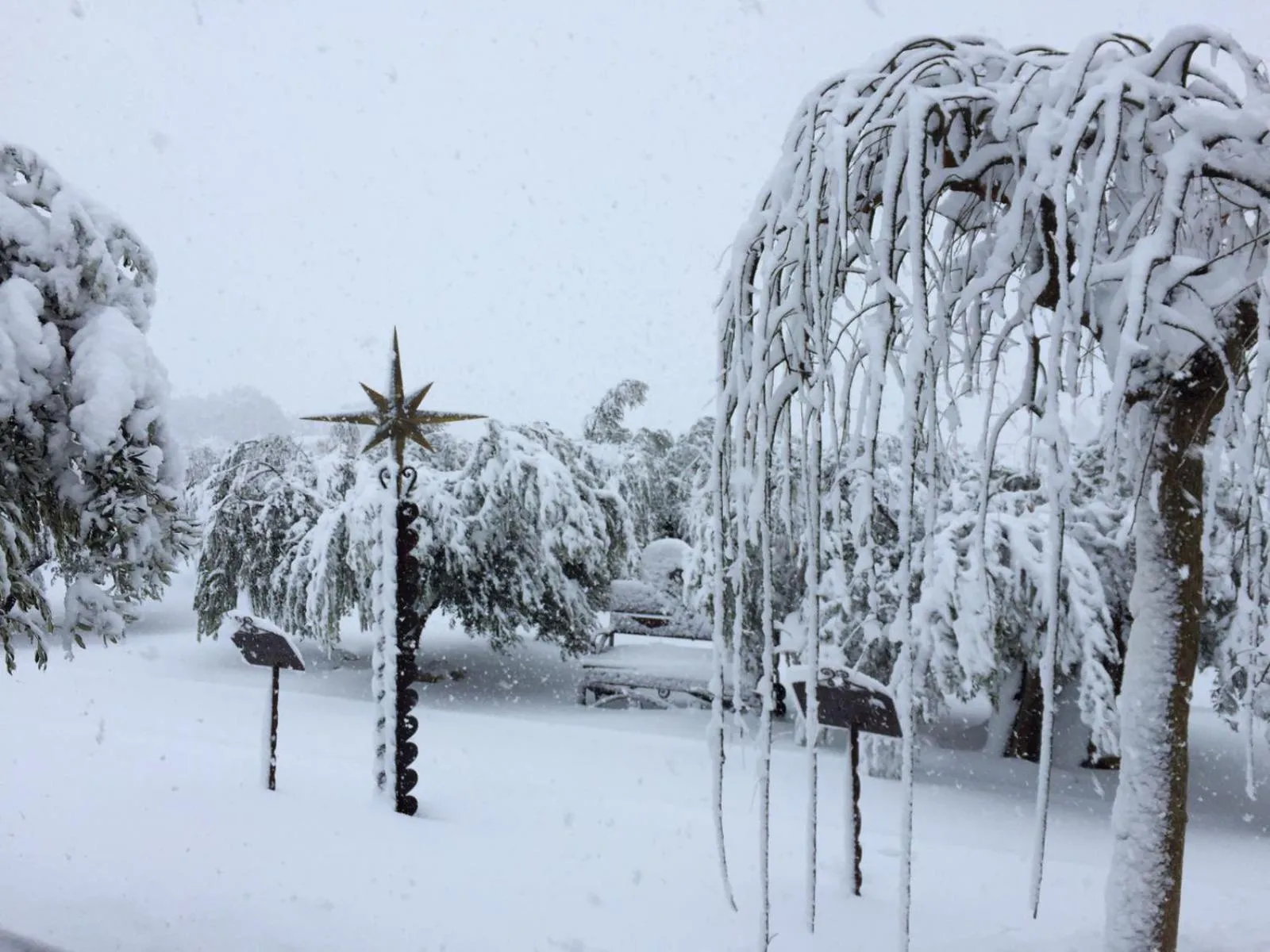 Property building in Hotel Caseta Nova