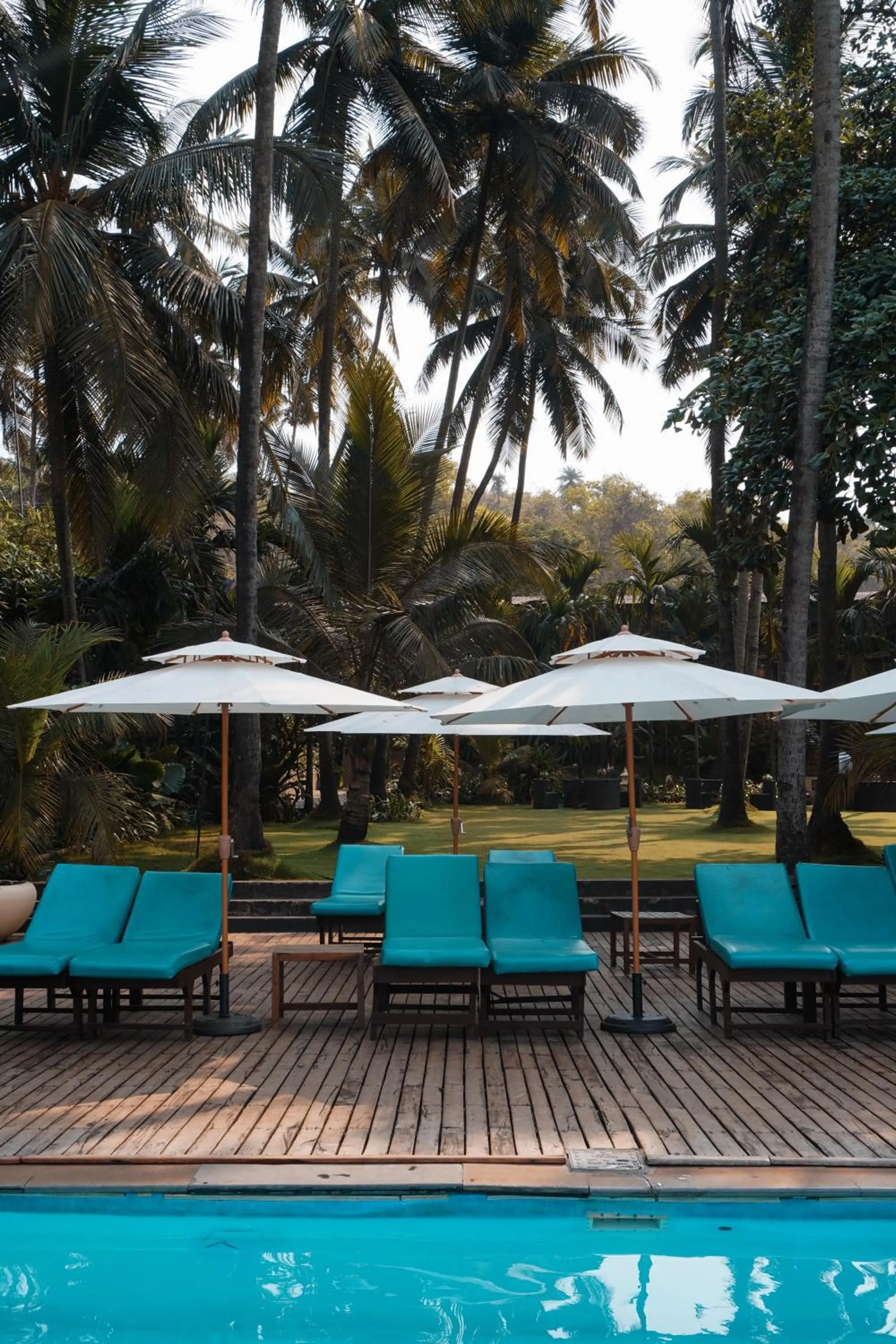 Garden in Riva Beach Resort