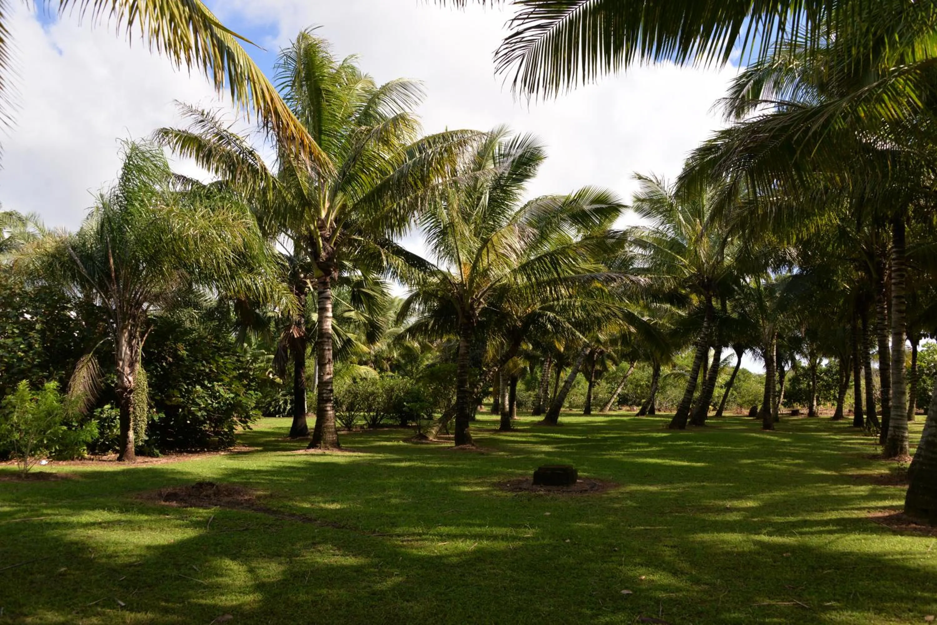 Domaine des Oiseaux Réunion