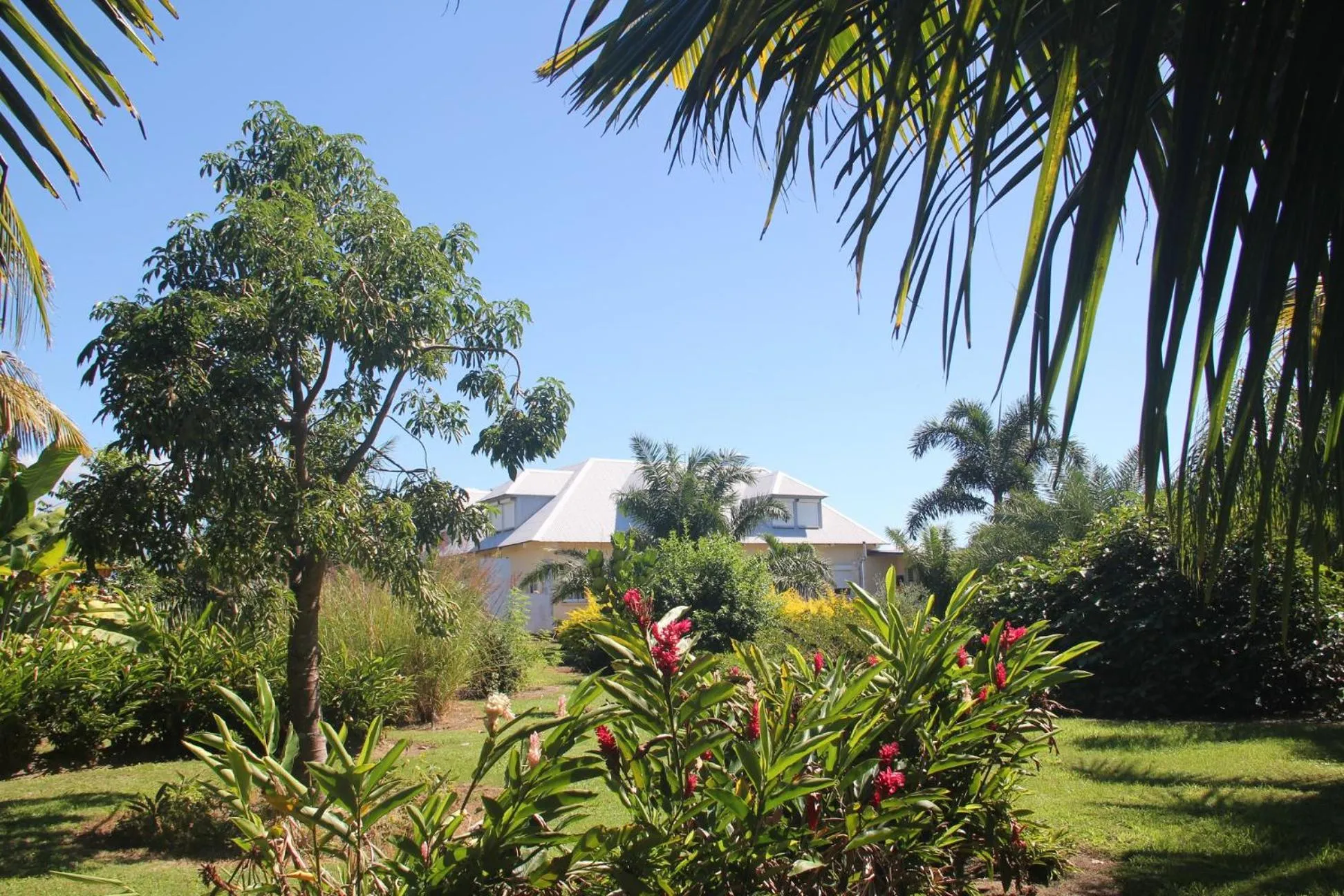 Domaine des Oiseaux Réunion